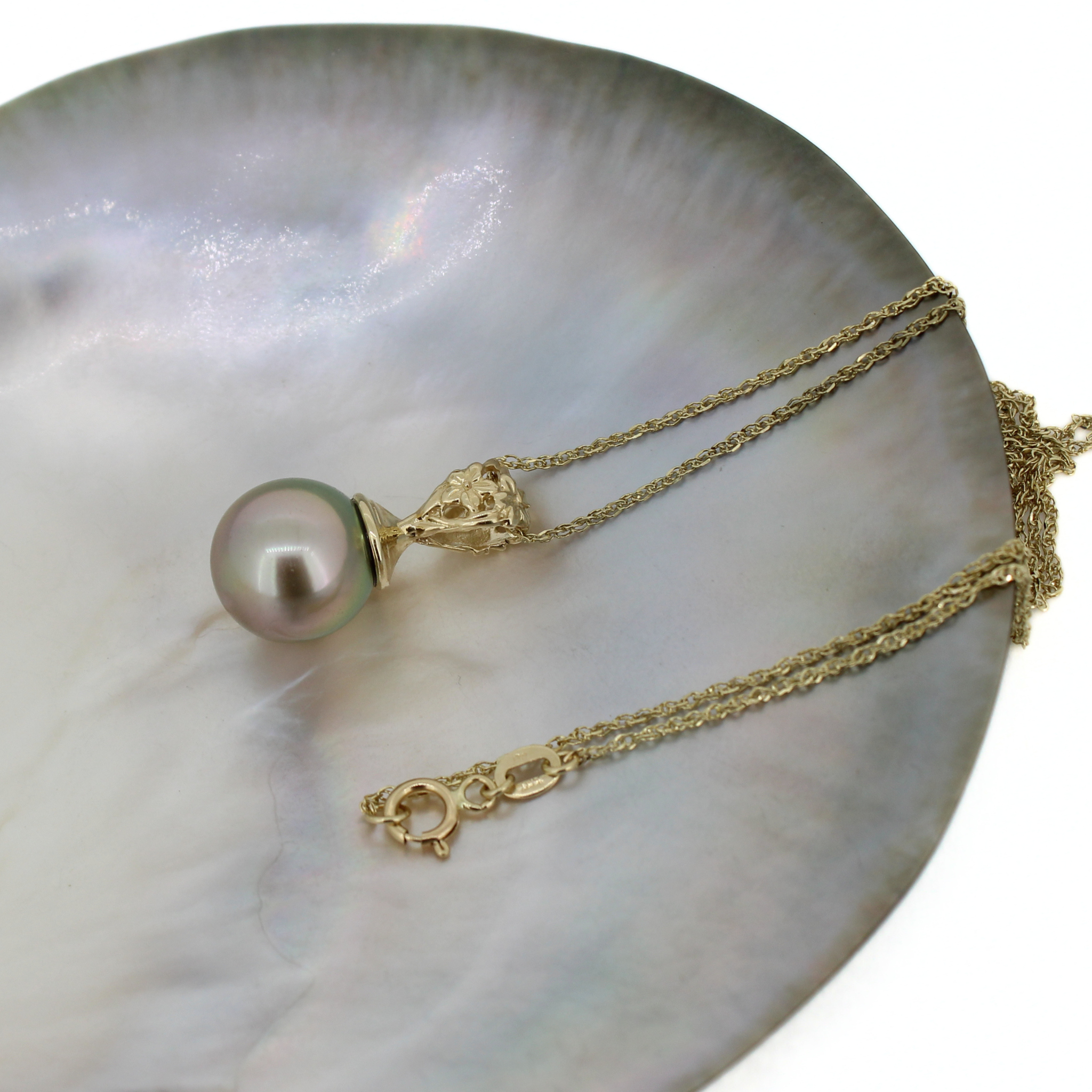 A gold chain necklace with a single round pearl pendant resting on a large iridescent mother-of-pearl shell disc, set against a clean white background.