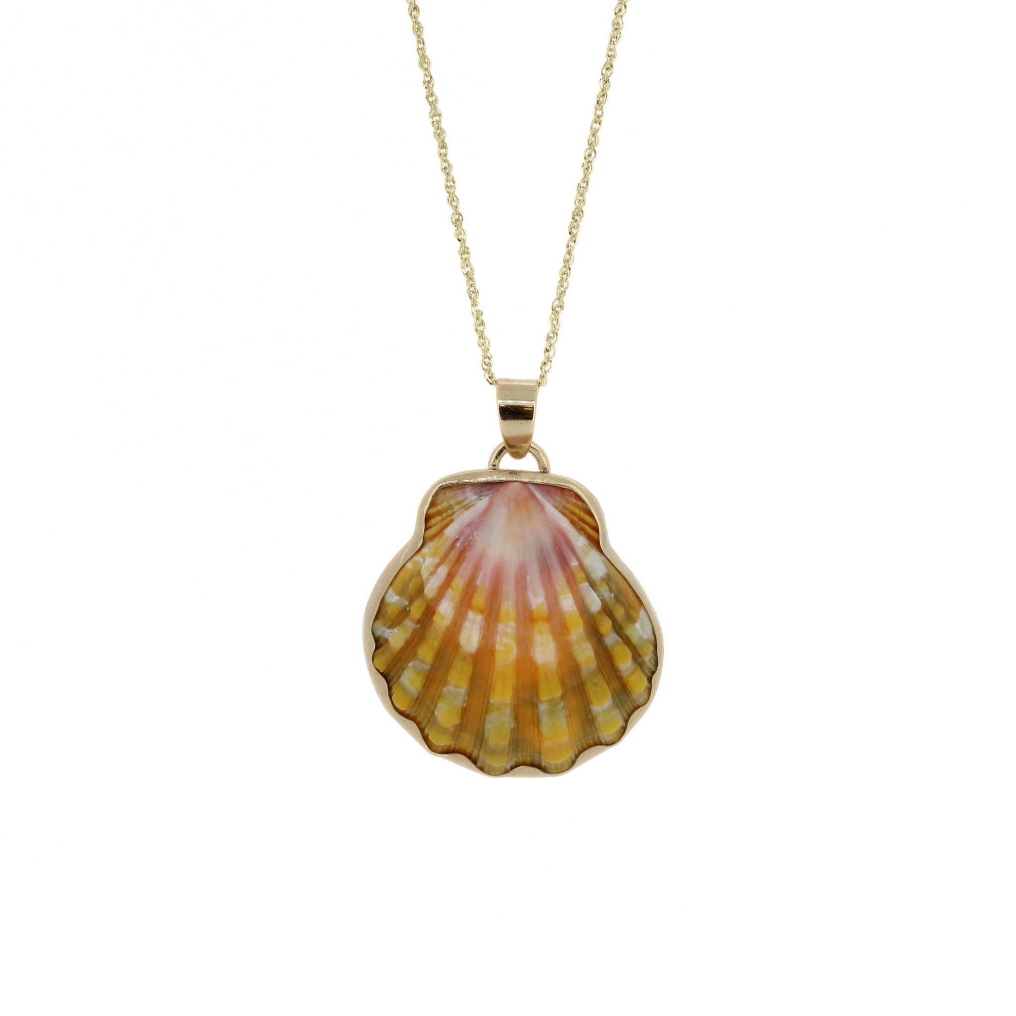 Gold shell pendant necklace with sunrise pink and yellow ridged shell