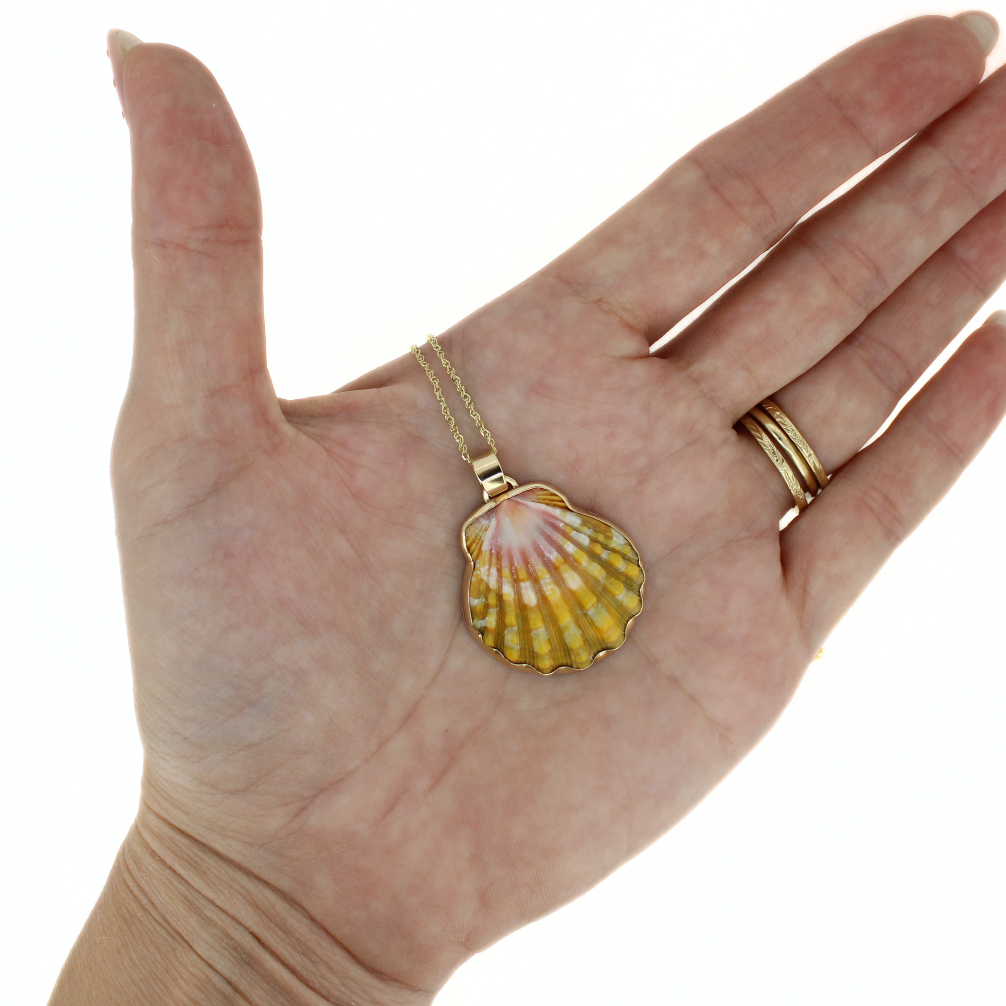 Gold shell pendant necklace on open palm; round pink and yellow ridged pendant