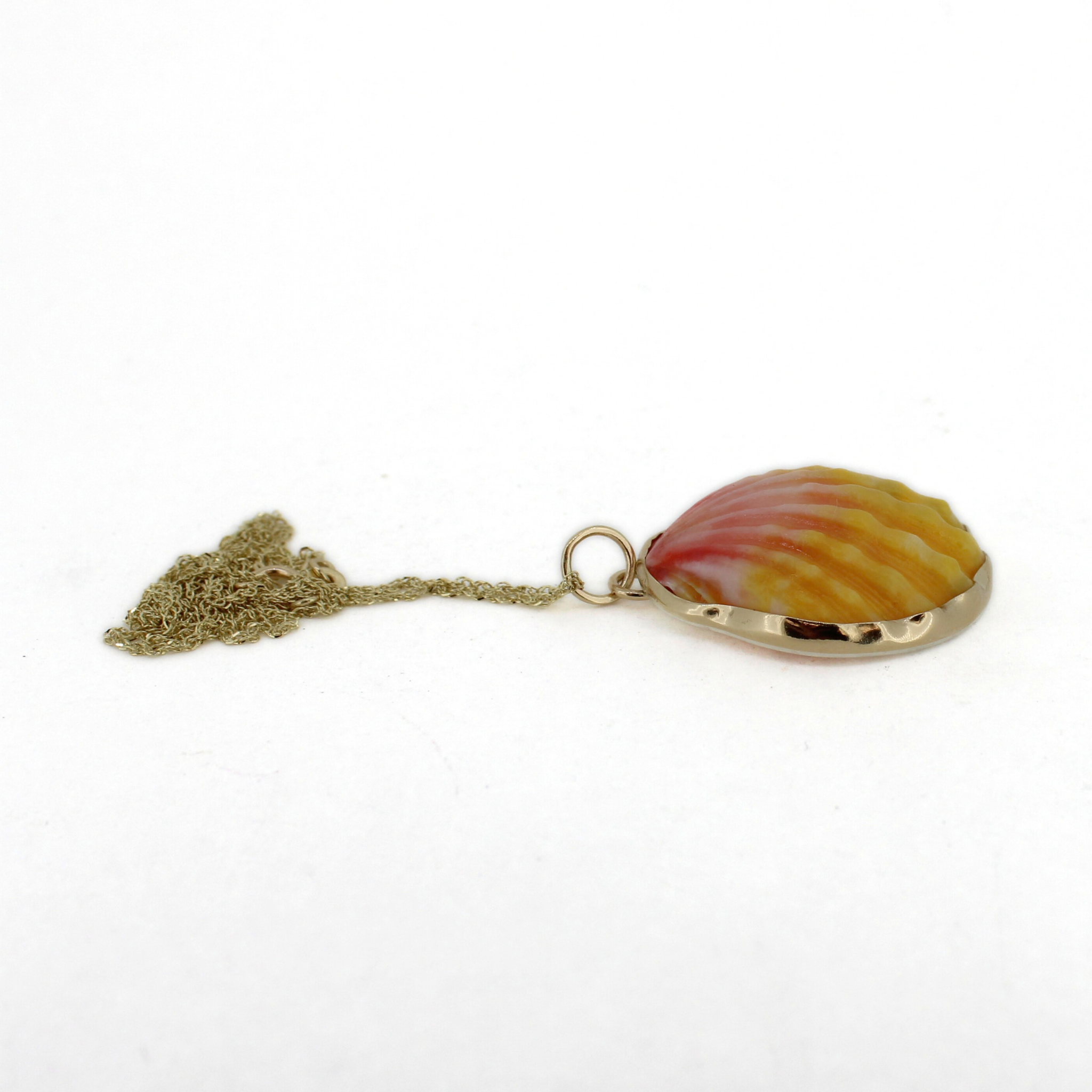 14k Gold Sunrise Shell Necklace