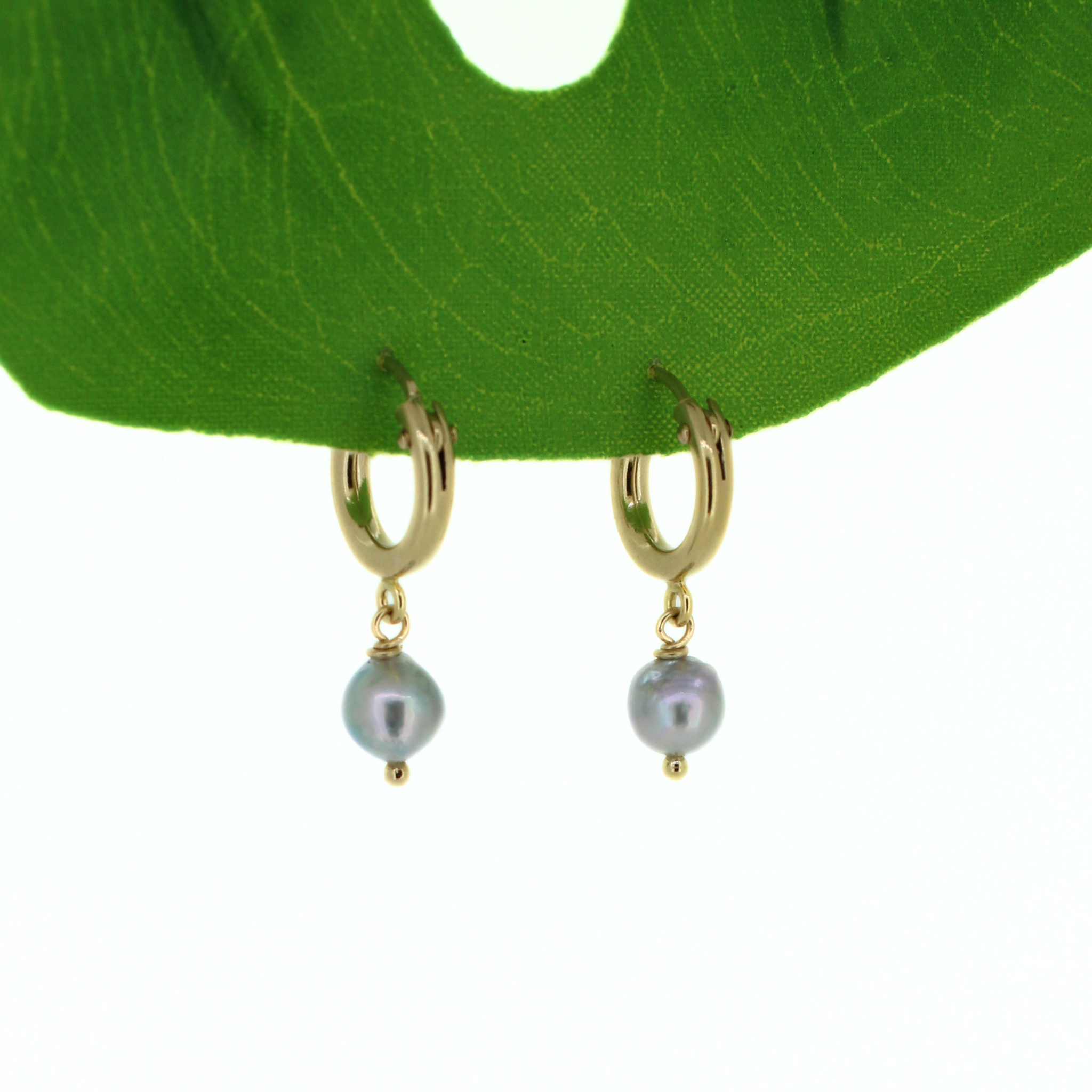 Gold-fill hoop earrings with blue Akoya pearl dangles, round hinged hoops