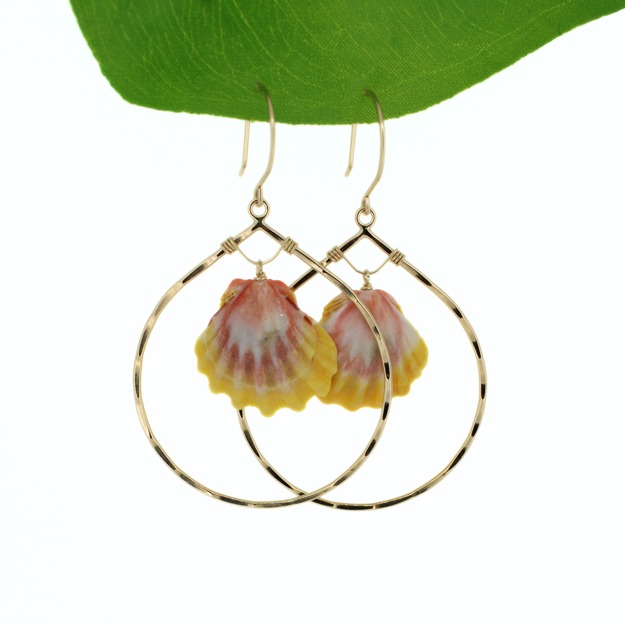 Brianne & Co. 14k gold fill tear drop hoop earrings featuring genuine Hawaiian sunrise shells