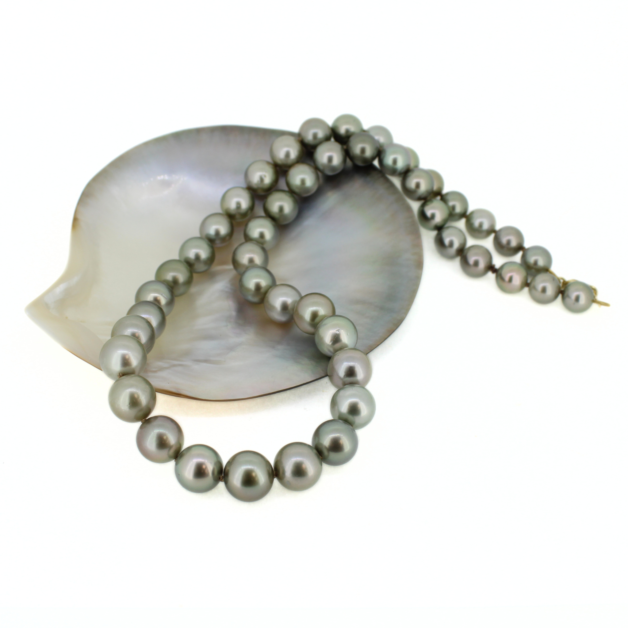 Tahitian Pearl Strand w/ 14k Gold Clasp