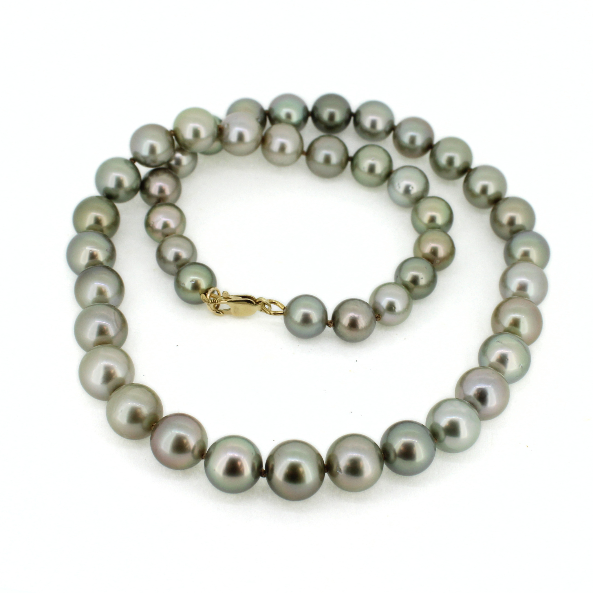 Brianne & Co. 14k gold genuine full Tahitian pearl knotted necklace