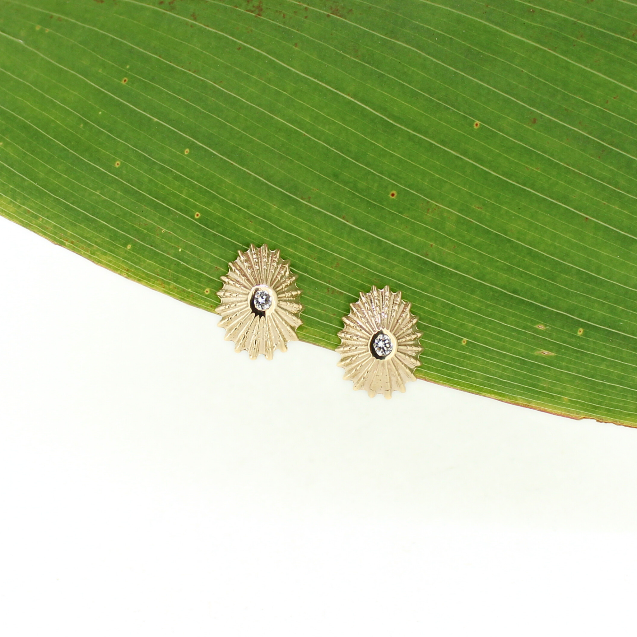 14k Gold Diamond Opihi Shell Stud Earrings