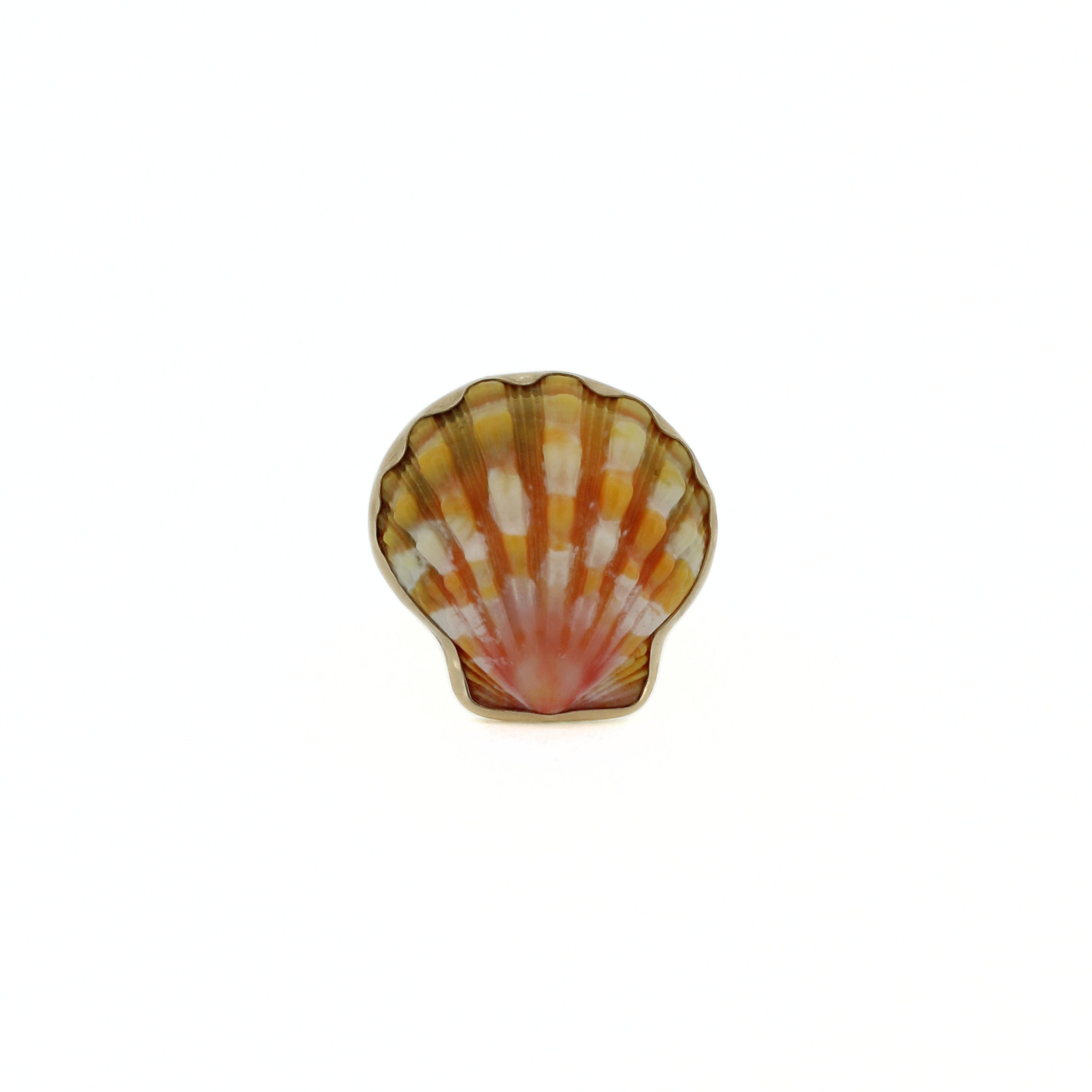14k Gold Sunrise Shell Ring Size 7