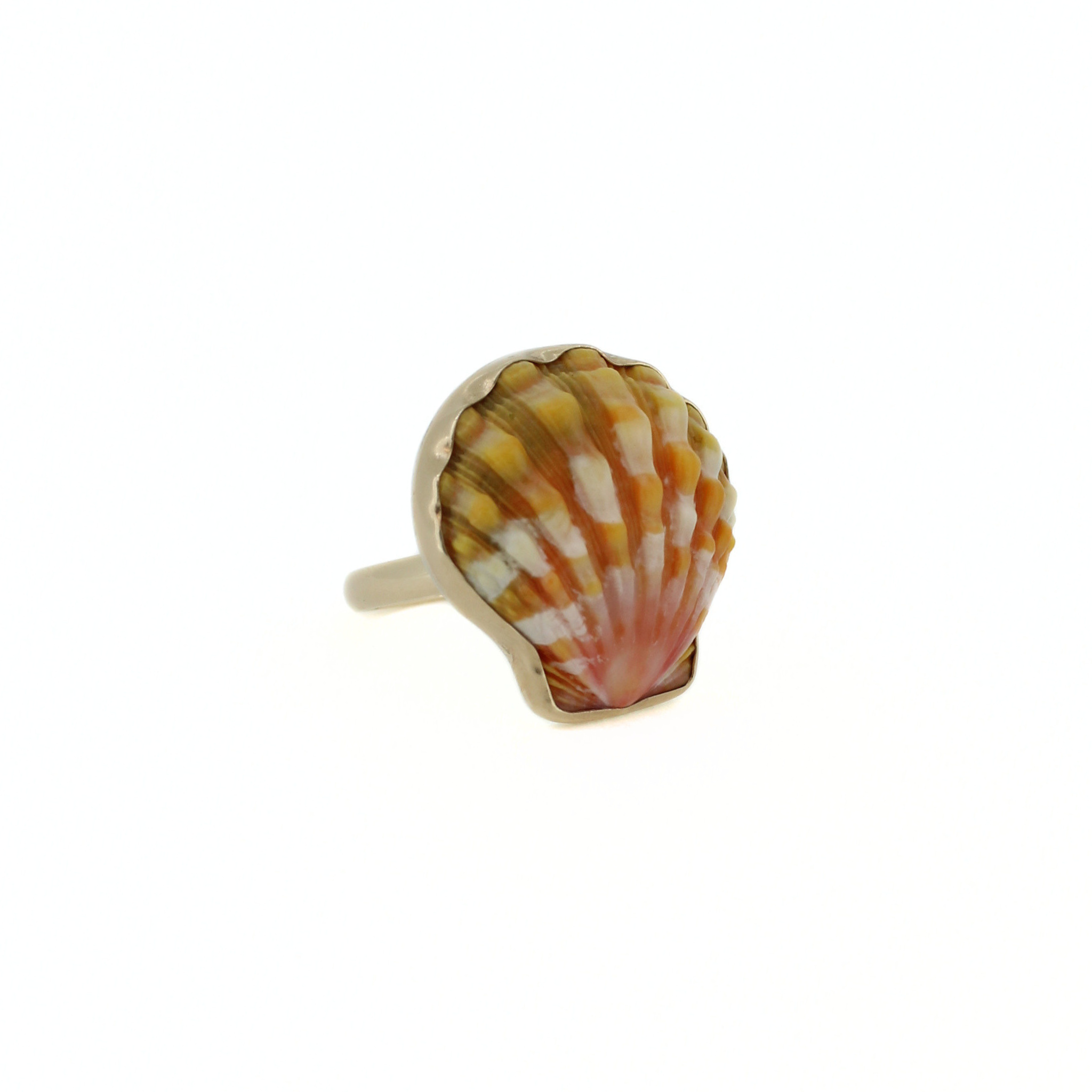 Brianne & Co. 14k gold bezel set Hawaiian sunrise shell ring