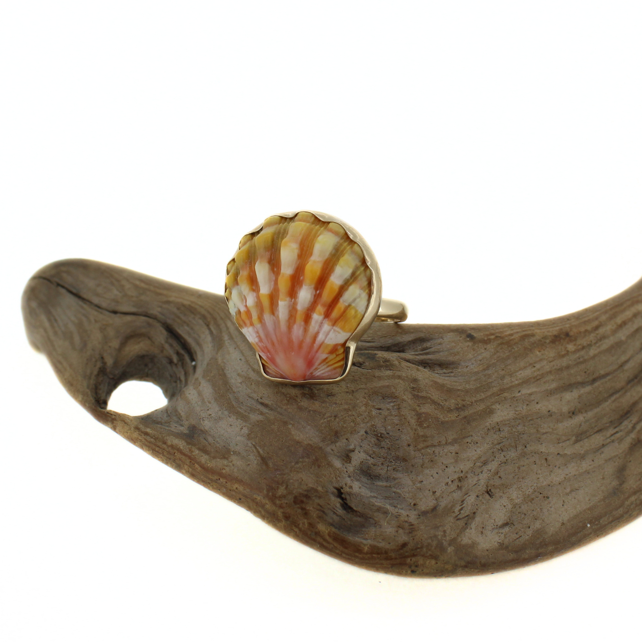 14k Gold Sunrise Shell Ring Size 7
