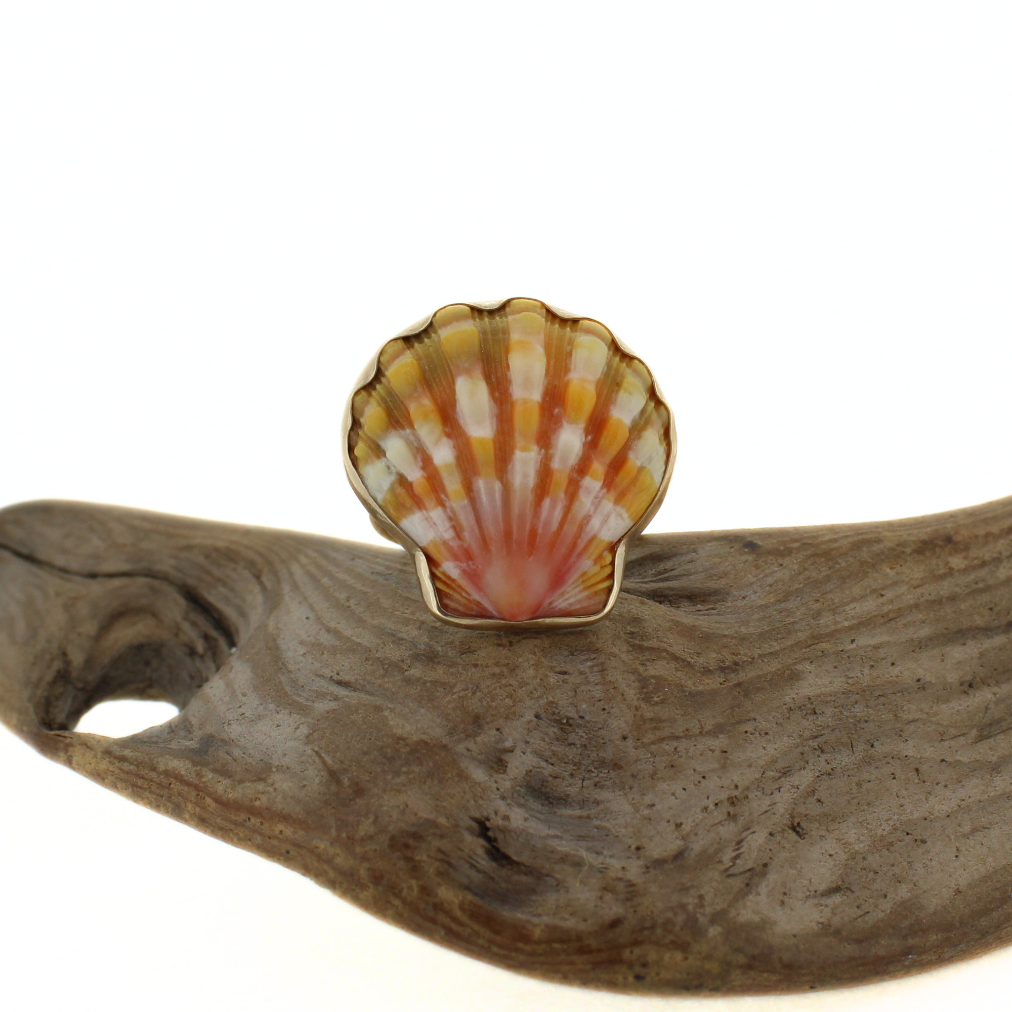 14k Gold Sunrise Shell Ring Size 7