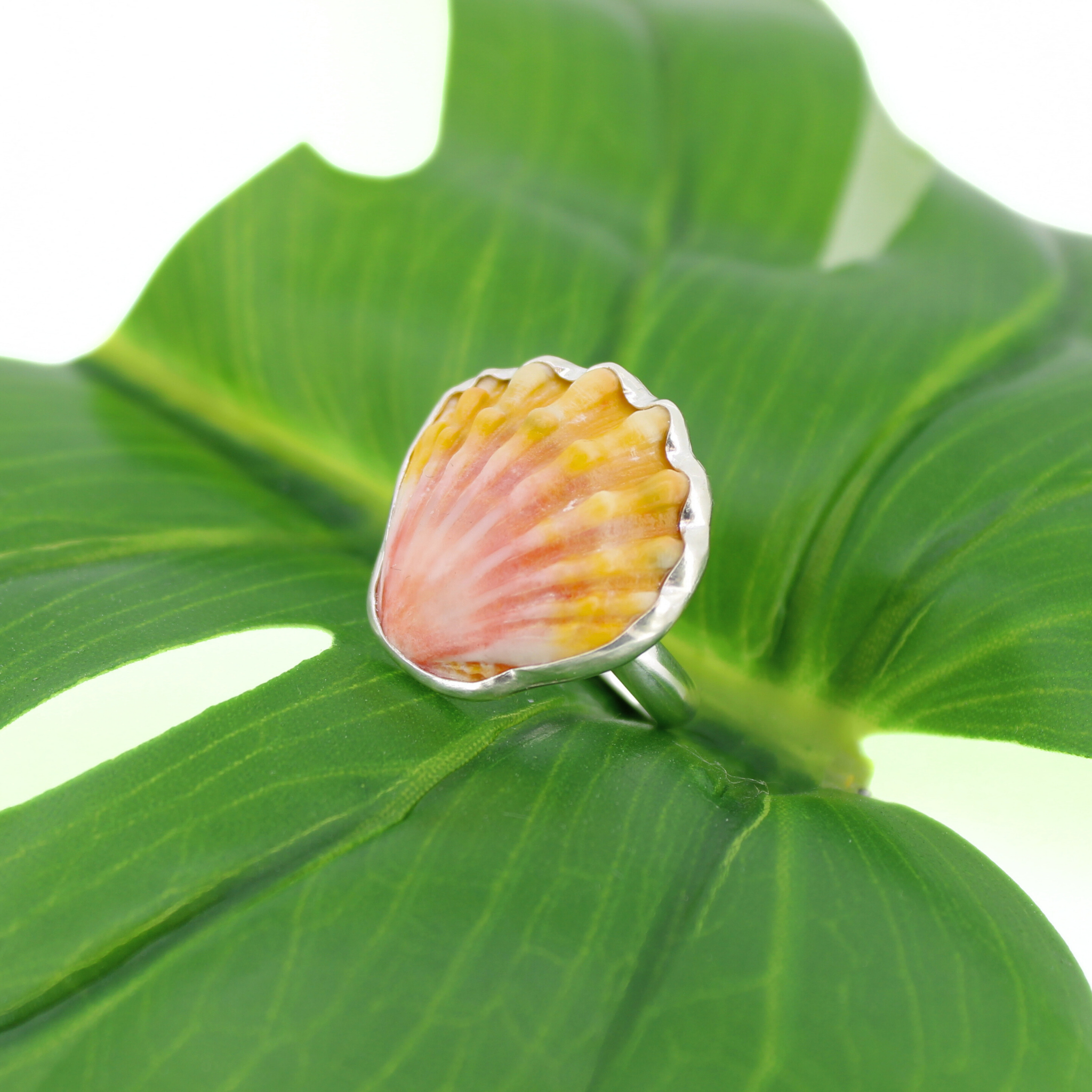 Sterling Silver Sunrise Shell Ring Size 6