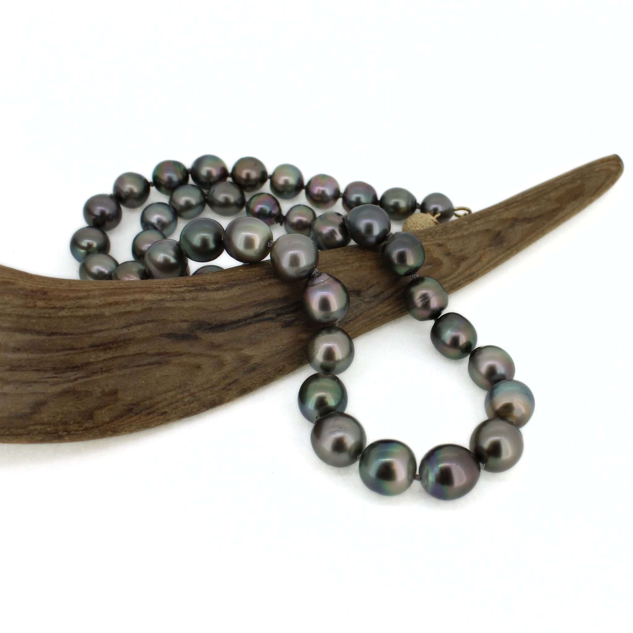 Tahitian Pearl Strand w/ 14k Gold Clasp