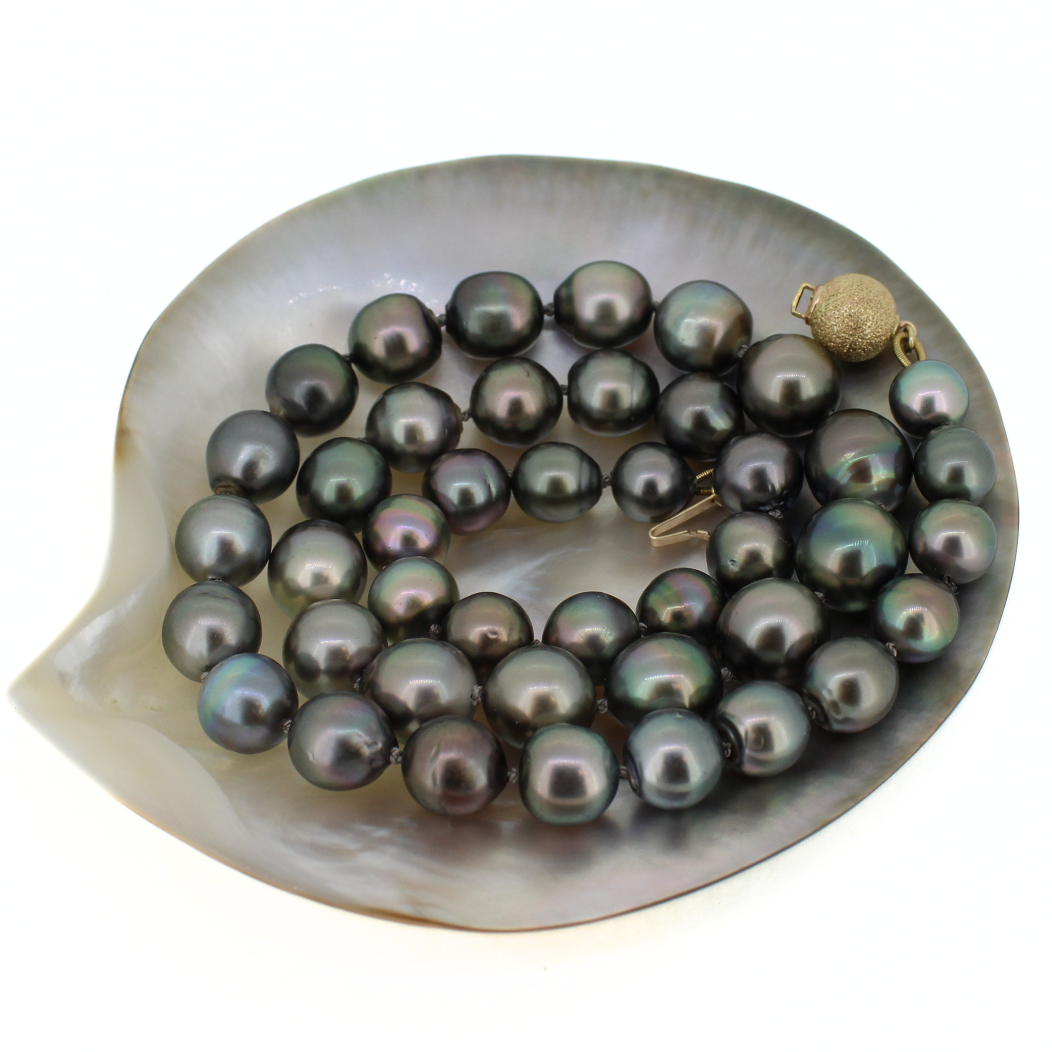 Tahitian Pearl Strand w/ 14k Gold Clasp