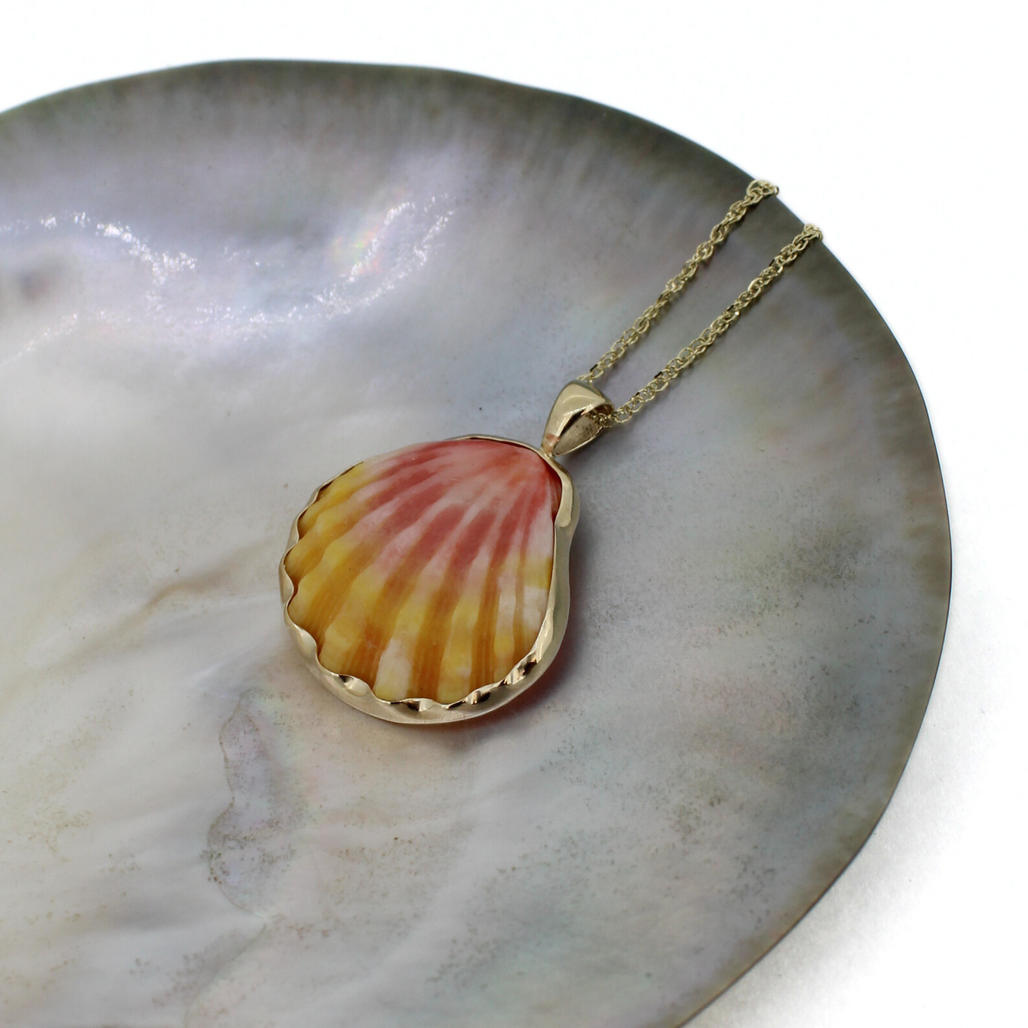 14k Gold Sunrise Shell Necklace