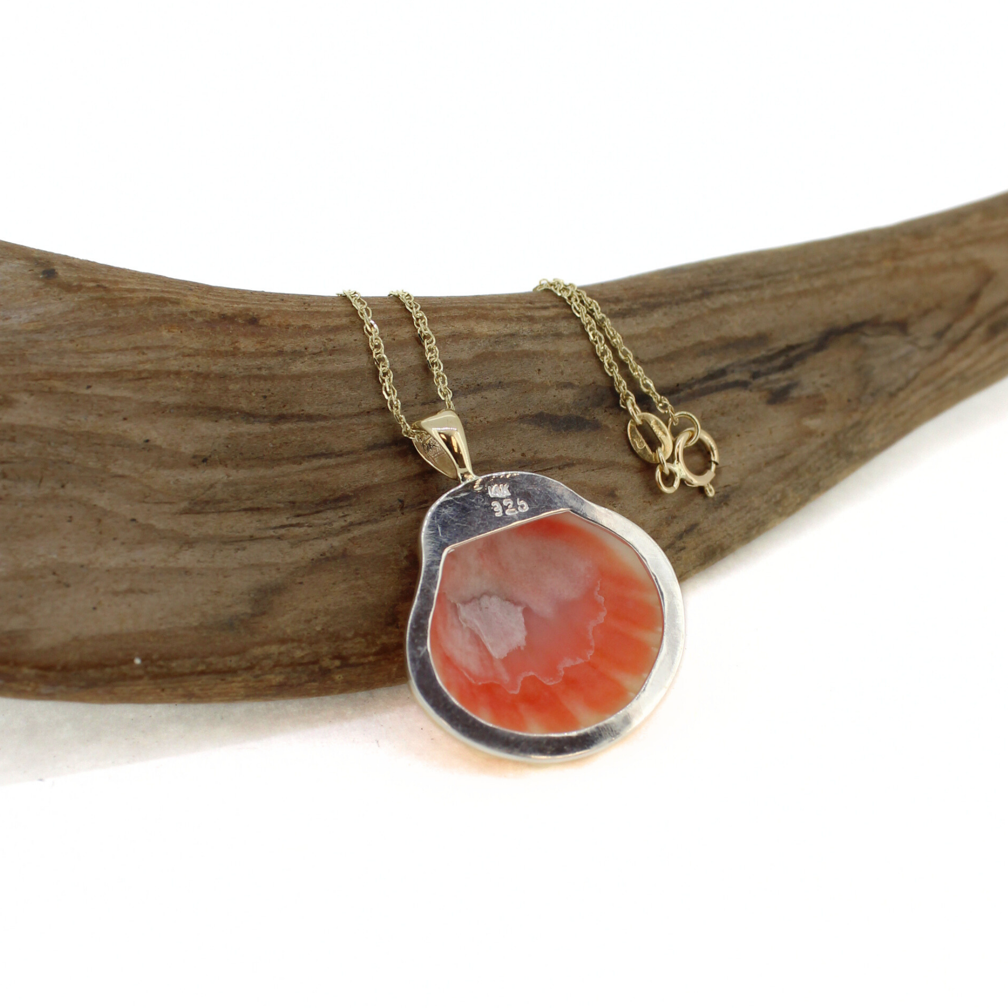 14k Gold Sunrise Shell Necklace