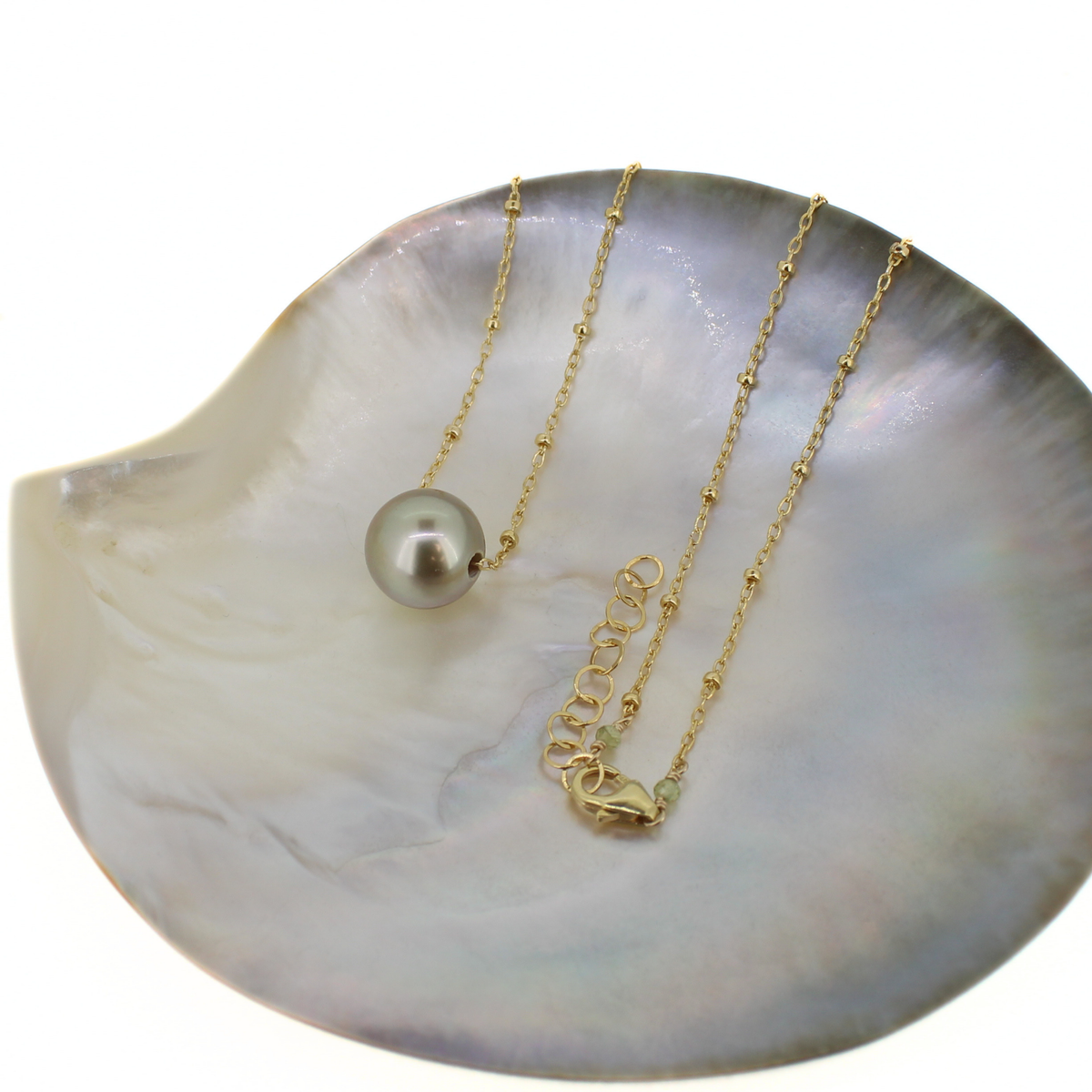 Gold fill satellite chain necklace with a Tahitian pearl pendant and a necklace extender, displayed on a shell against a white background.
