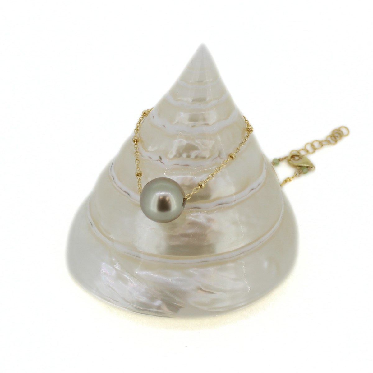 Gold Tahitian pearl floating necklace displayed on a white cone shell.
