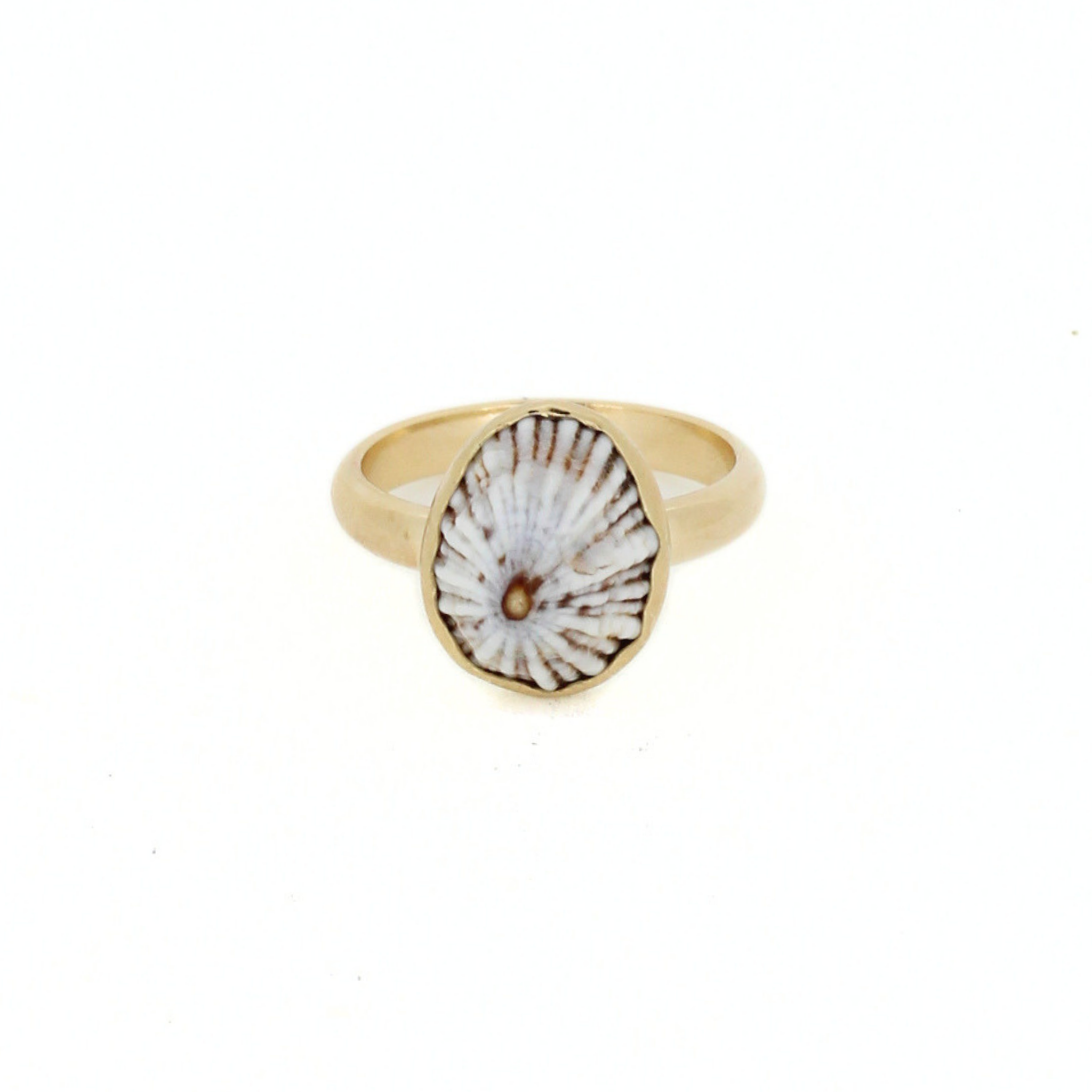Gold tone ring with oval opihi shell inlay, bezel setting