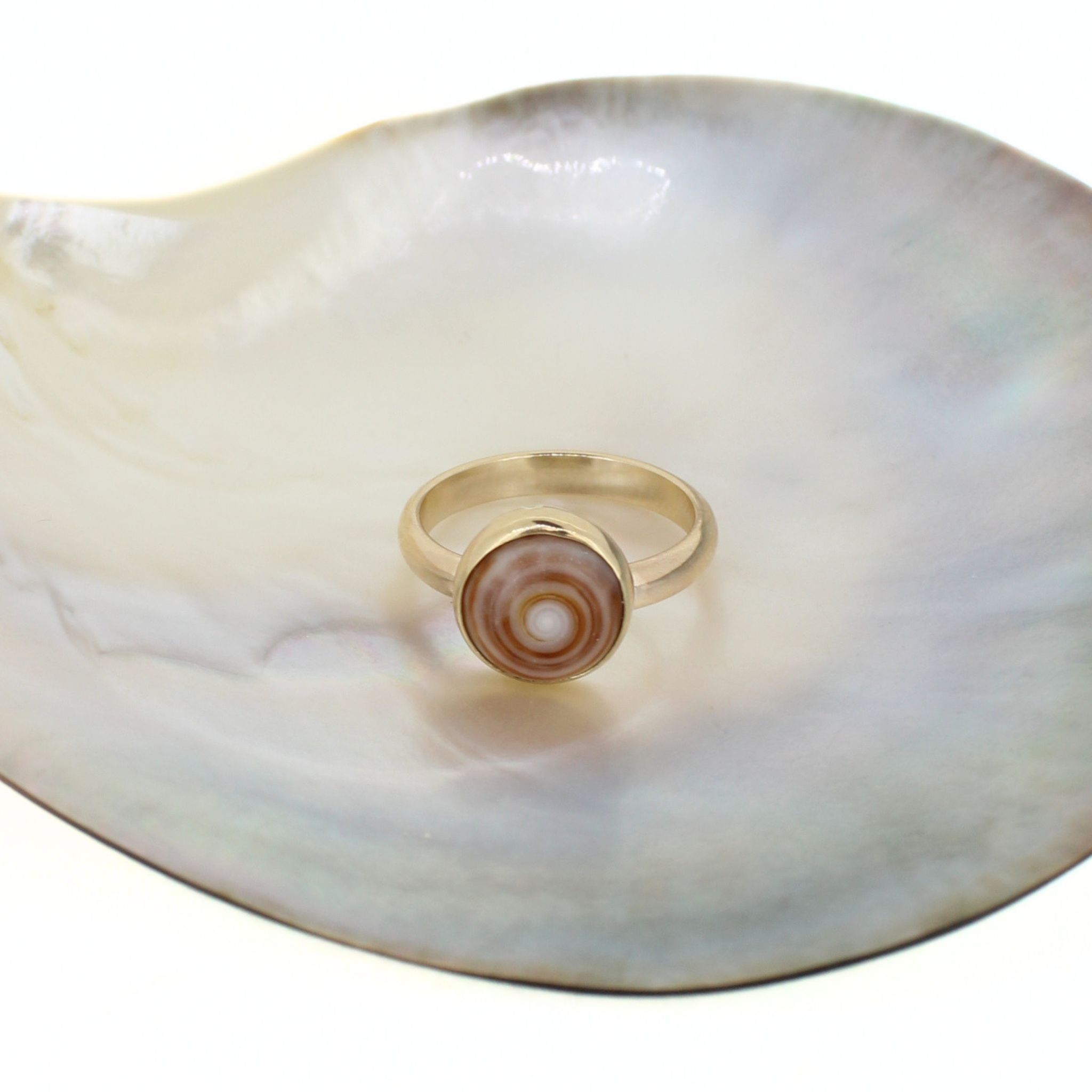 Gold-tone puka shell ring with oval warm brown shell center and concentric rings