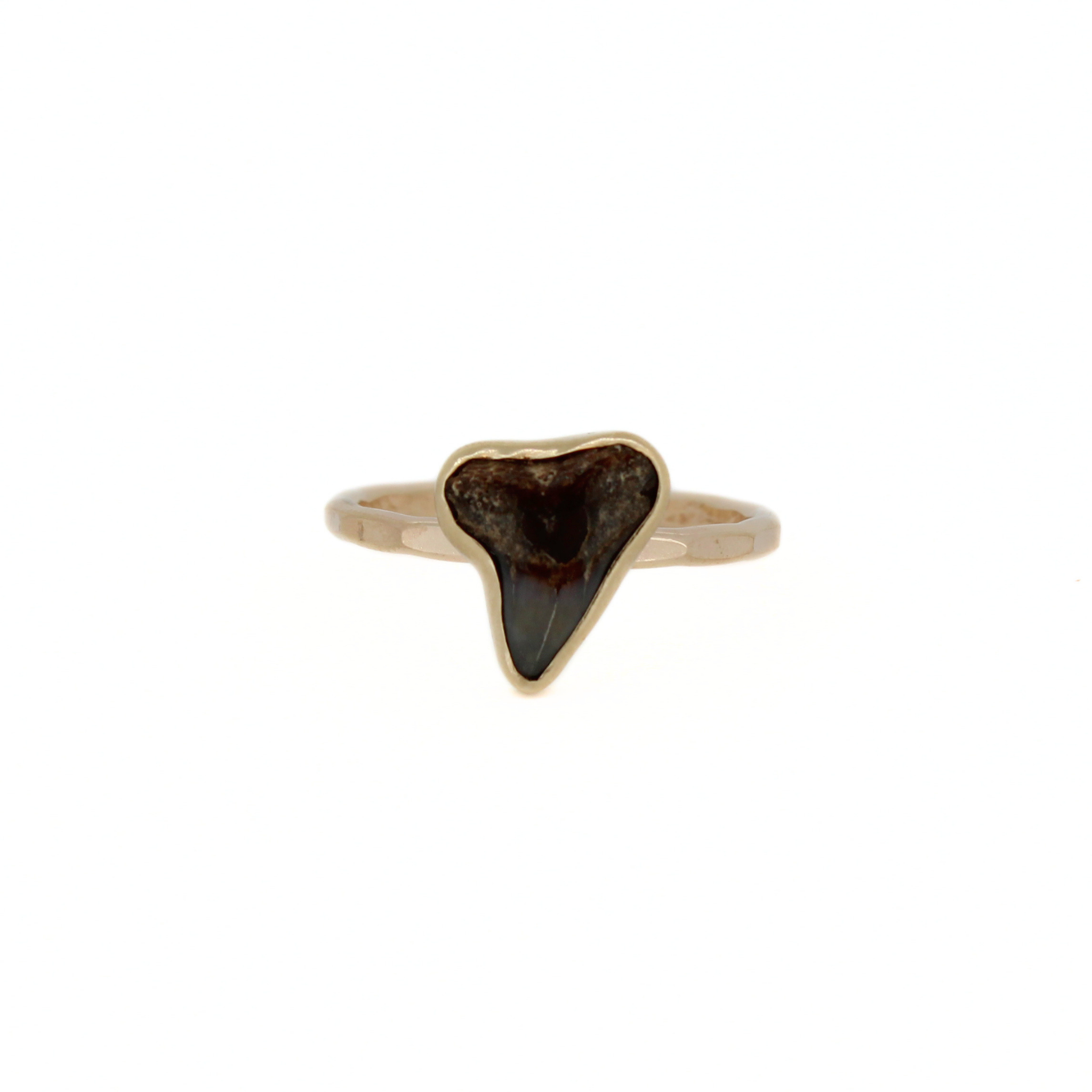 Gold shark tooth ring with dark triangular tooth center and slim band