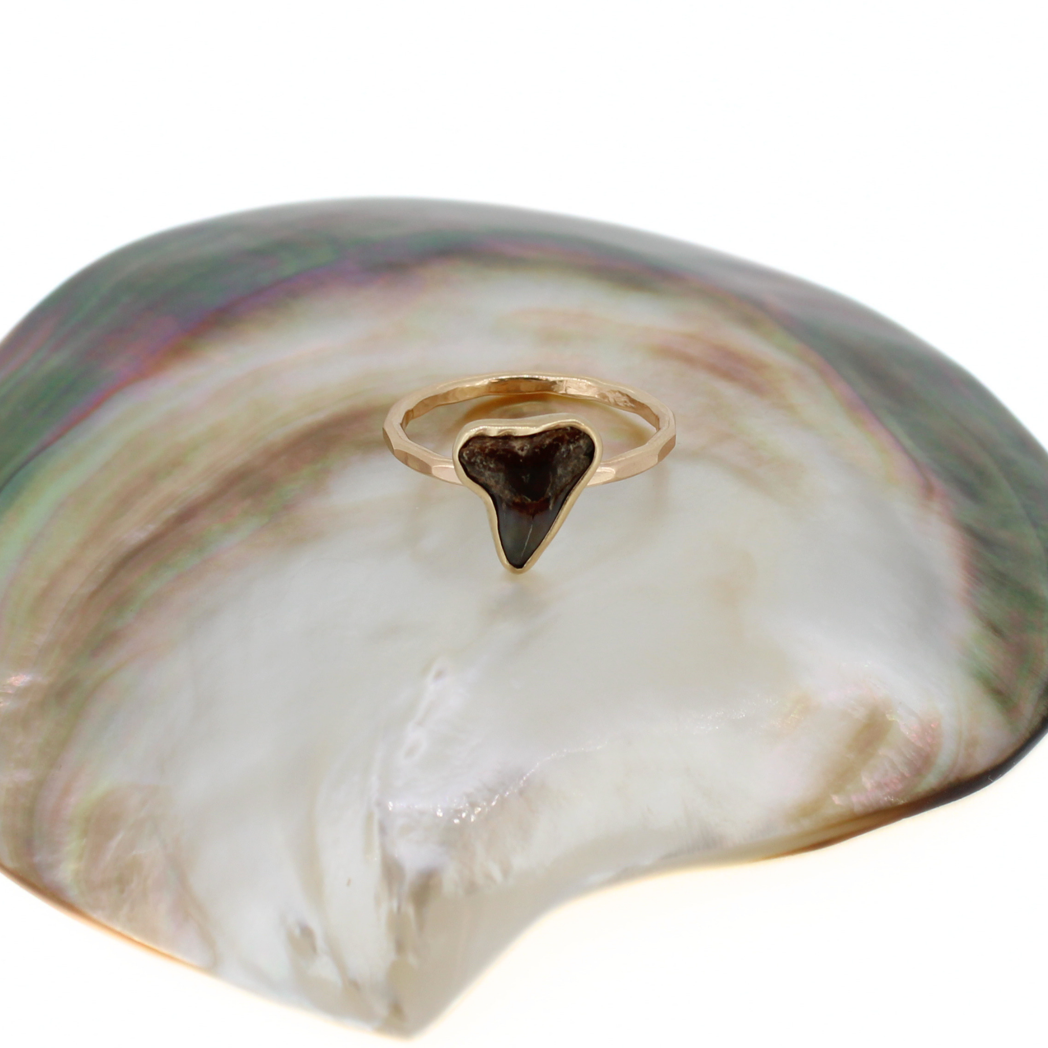 Gold shark tooth ring viewed from above, dark tooth on slim band