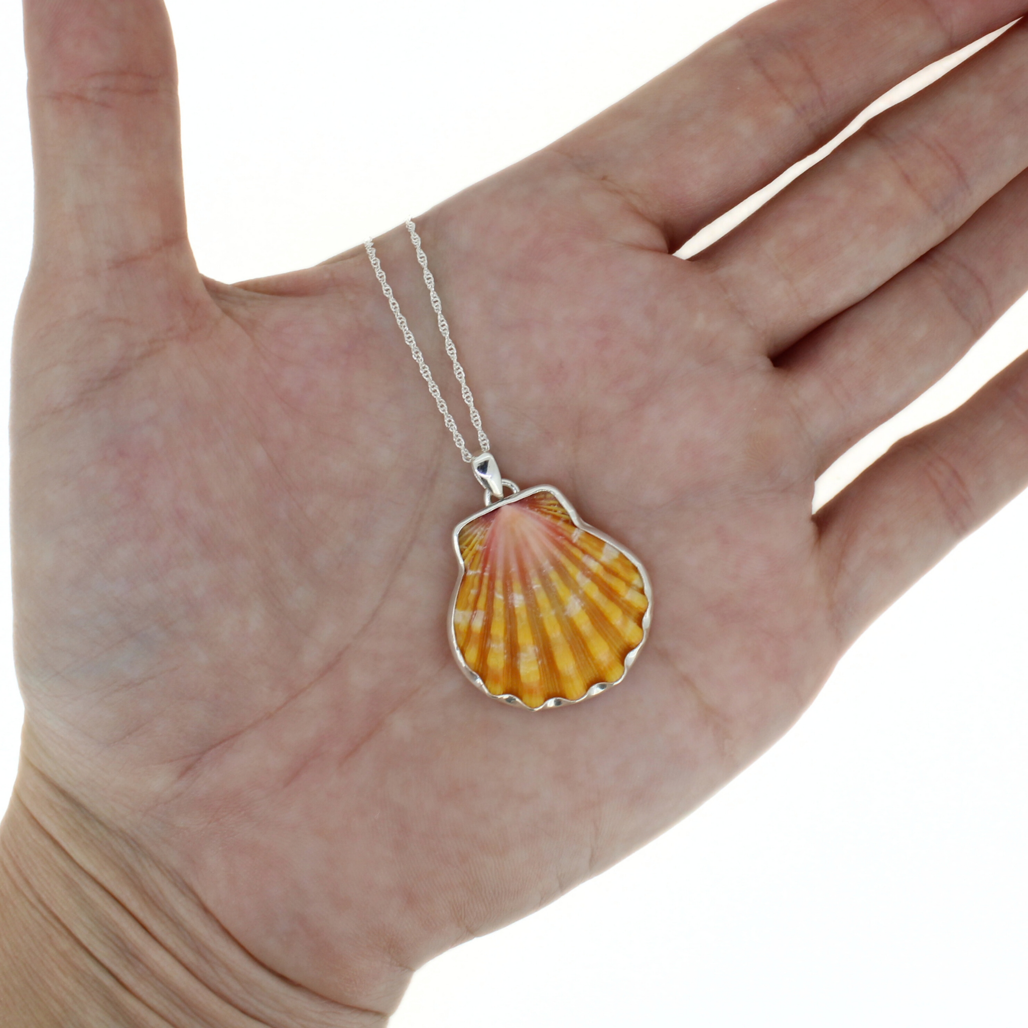 Silver Sunrise Shell Necklace