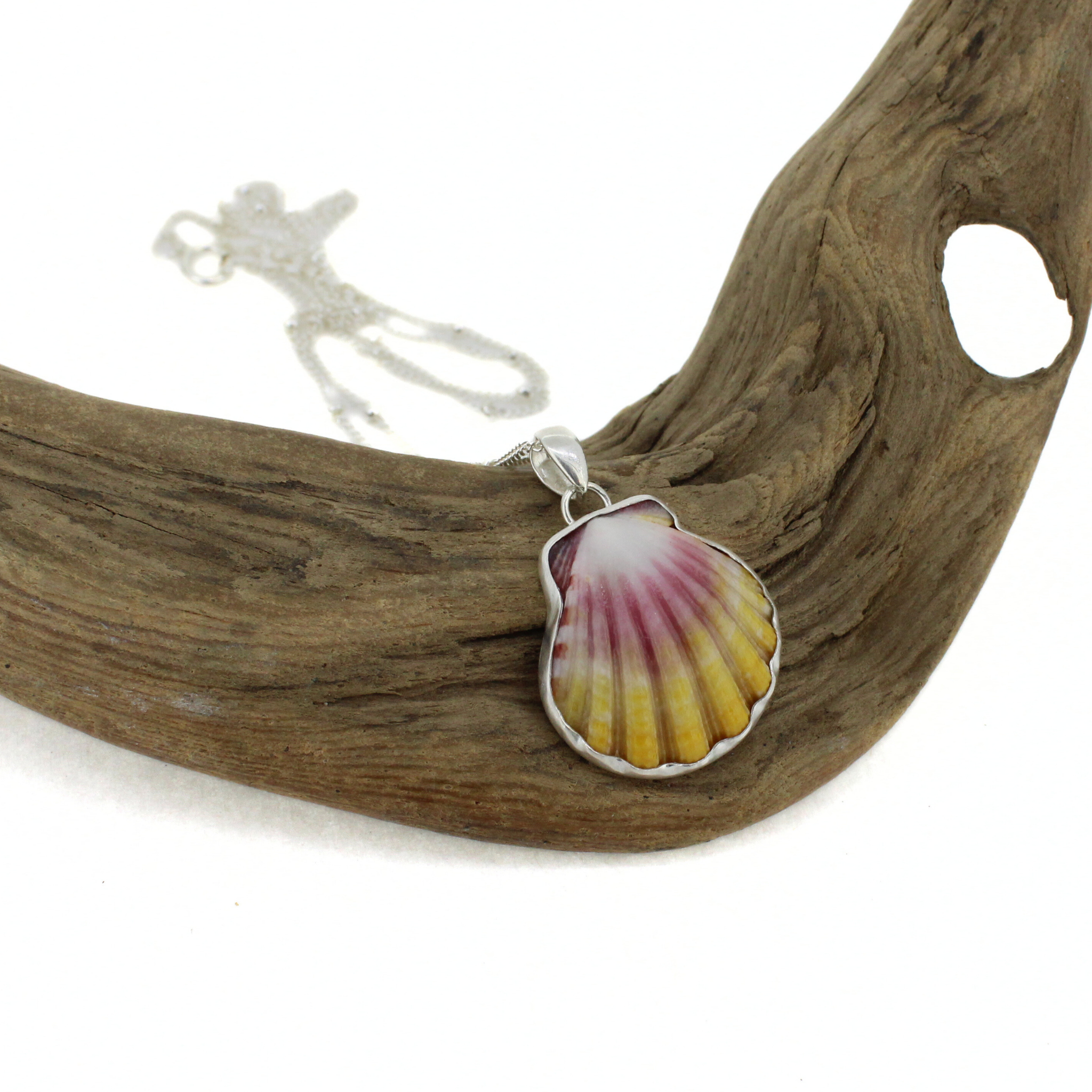 Brianne & Co. sterling silver bezel set sunrise shell necklace on an 18" satellite chain