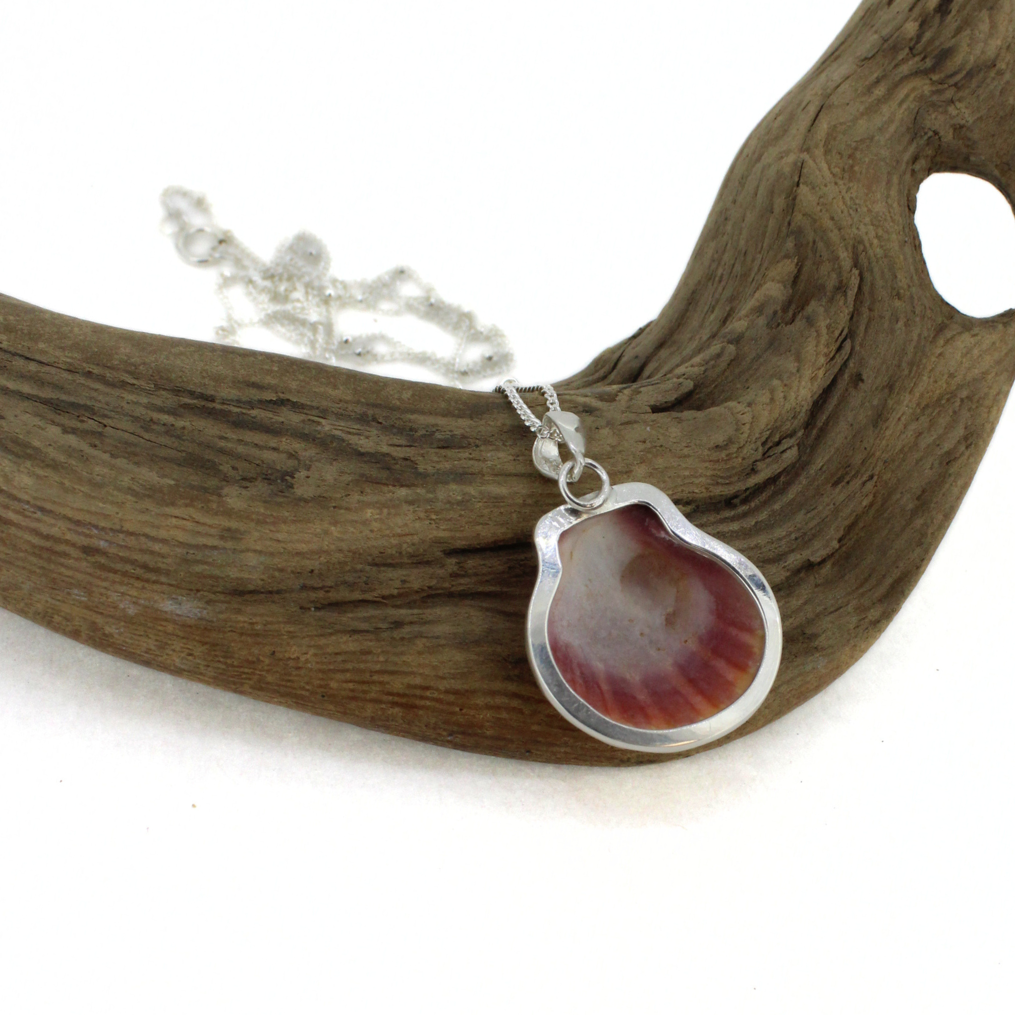 Silver Sunrise Shell Necklace