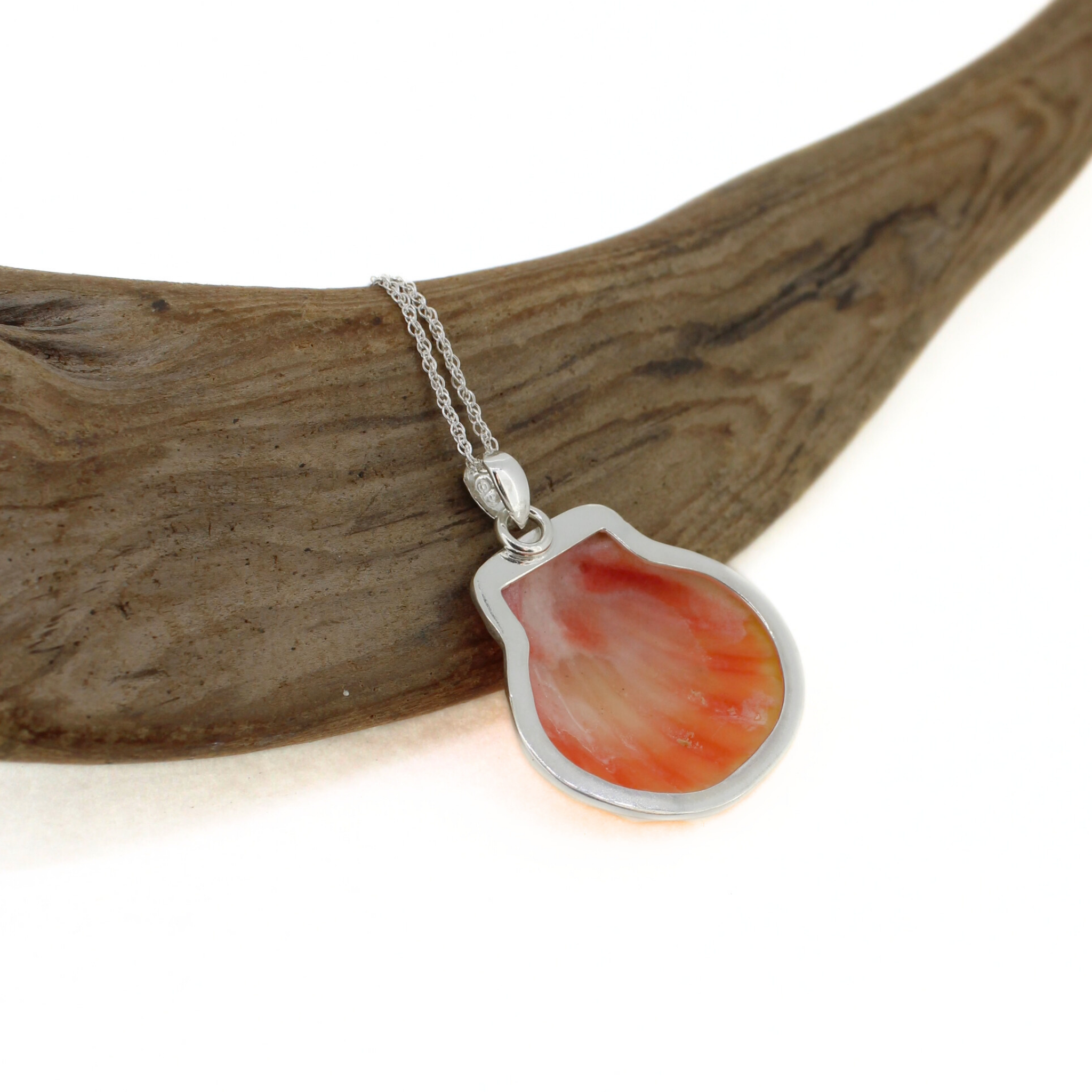 Silver Sunrise Shell Necklace