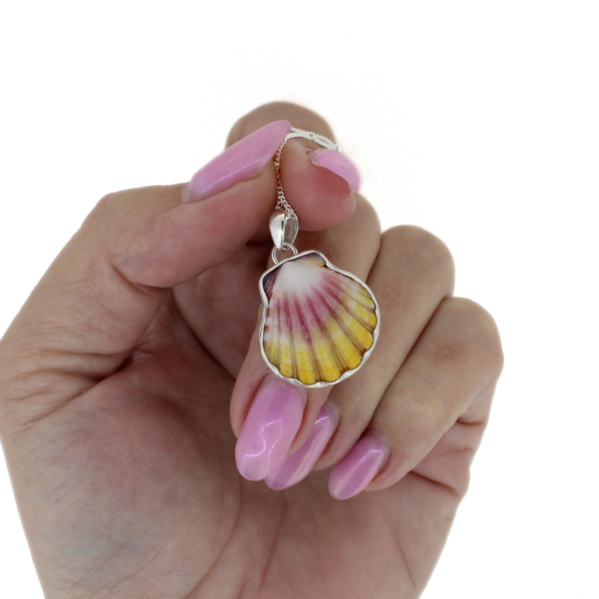 Silver Sunrise Shell Necklace