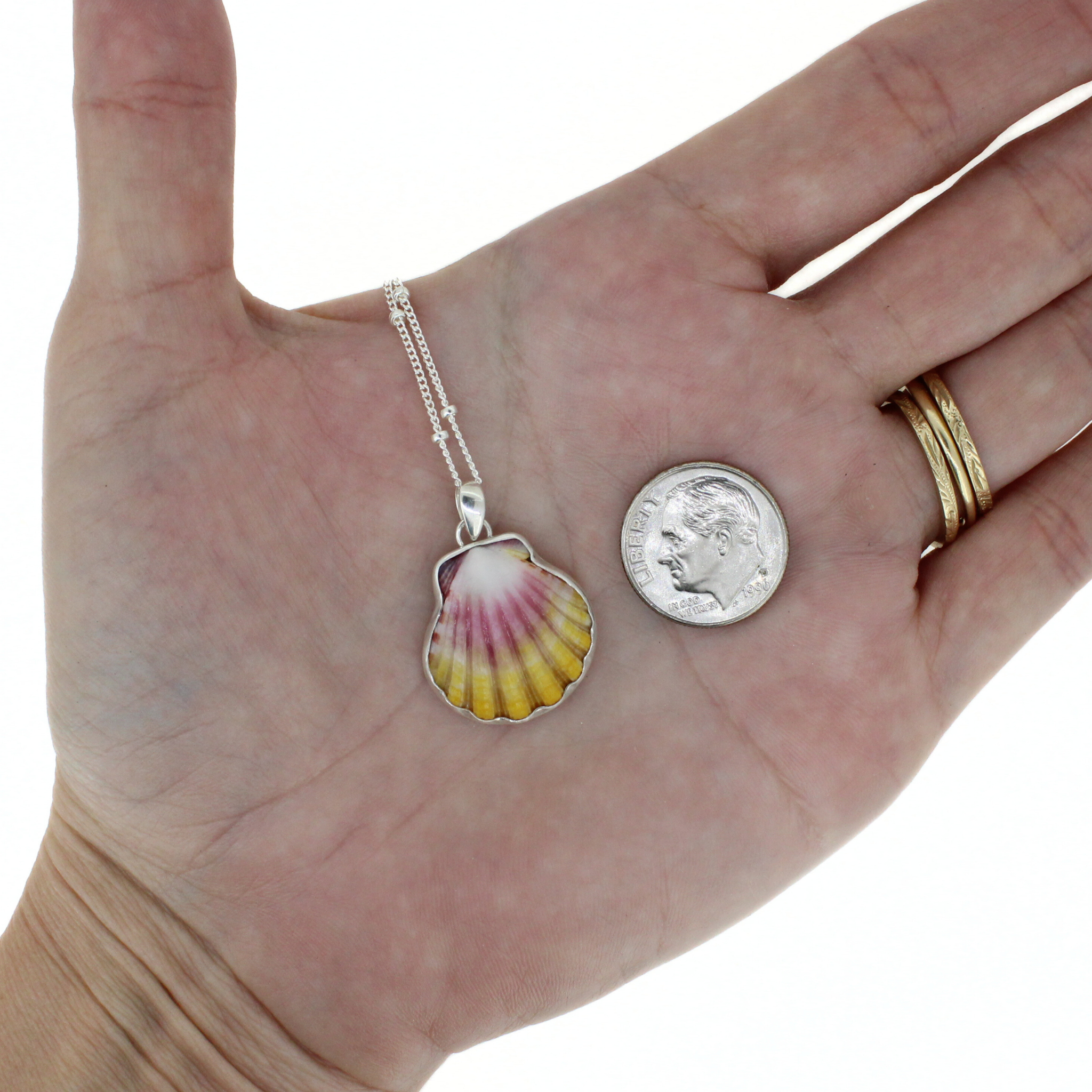Silver Sunrise Shell Necklace