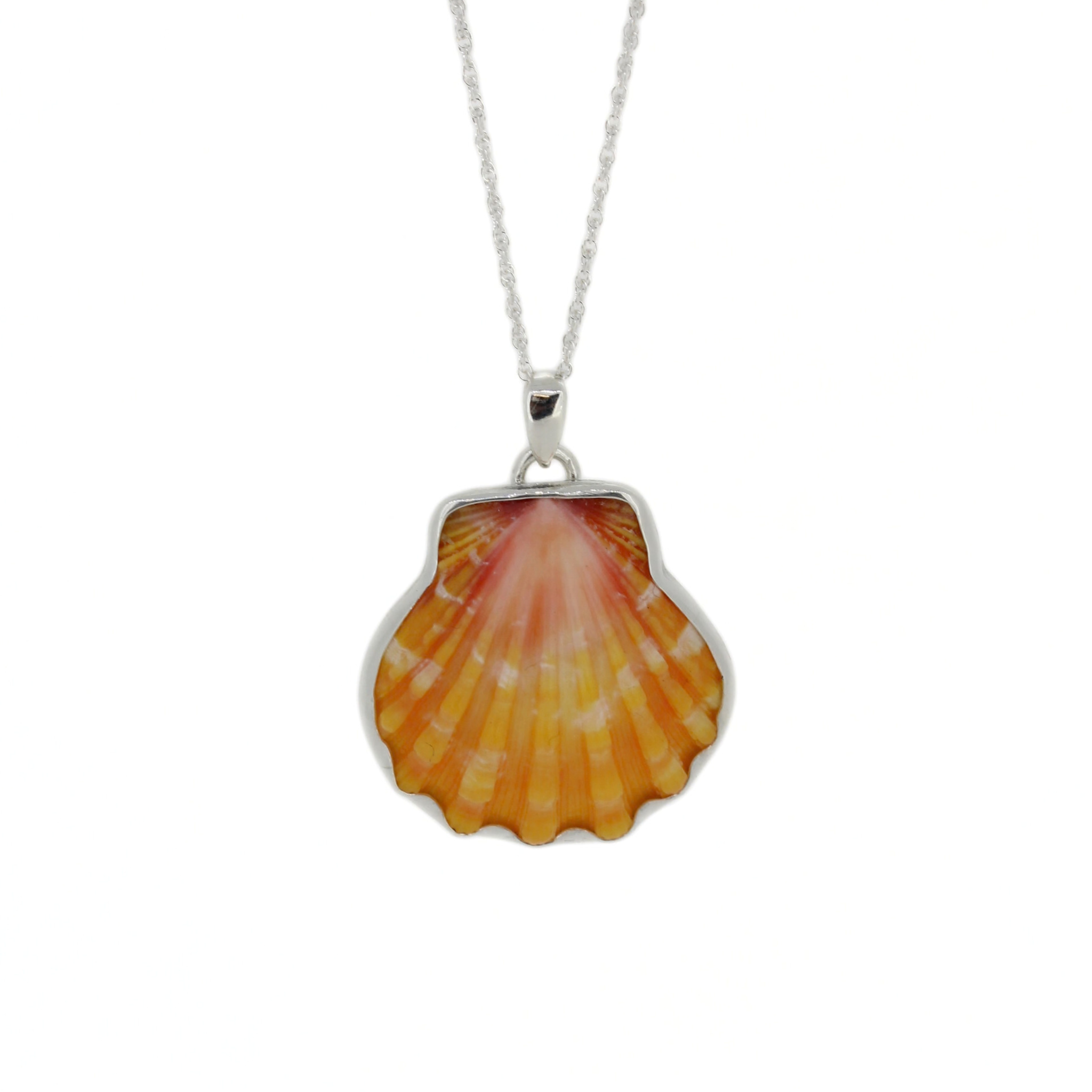 Brianne & Co. sterling silver bezel set Hawaiian sunrise shell necklace