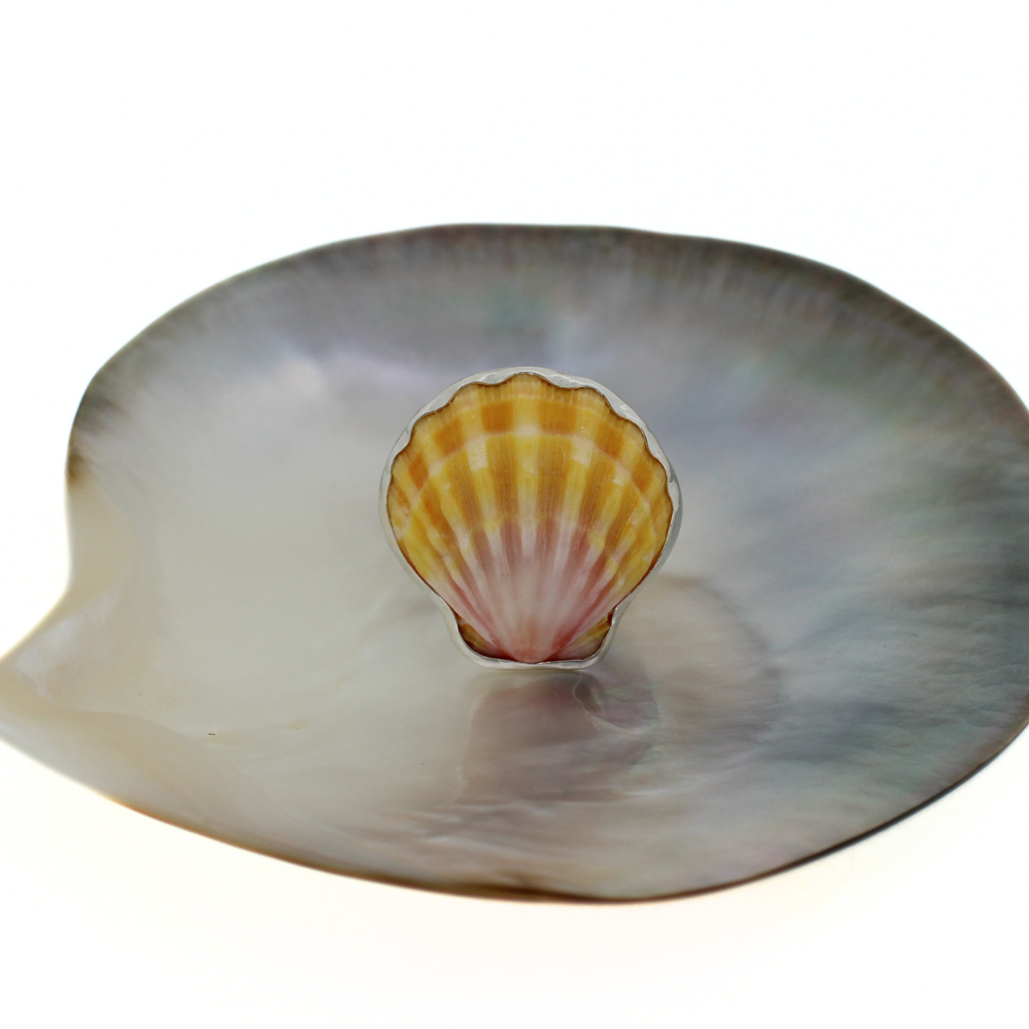 Brianne & Co. sterling silver bezel set Hawaiian sunrise shell ring size 8