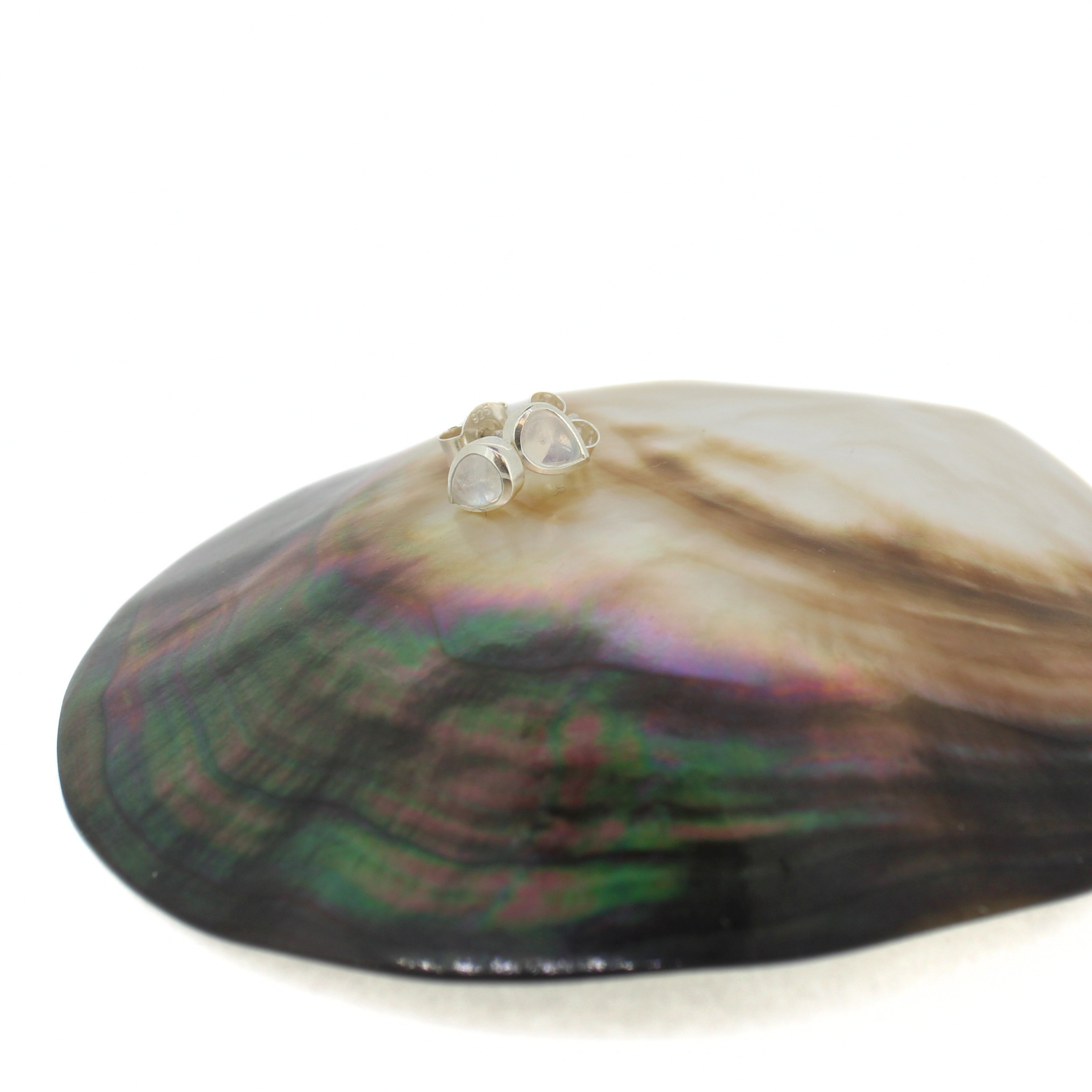 A pair of small silver stud earrings with clear faceted gemstones, displayed on top of a large iridescent abalone shell against a white background.