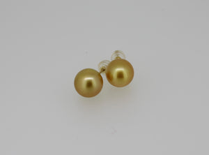 14k Gold Golden South Sea Pearl Stud Earrings