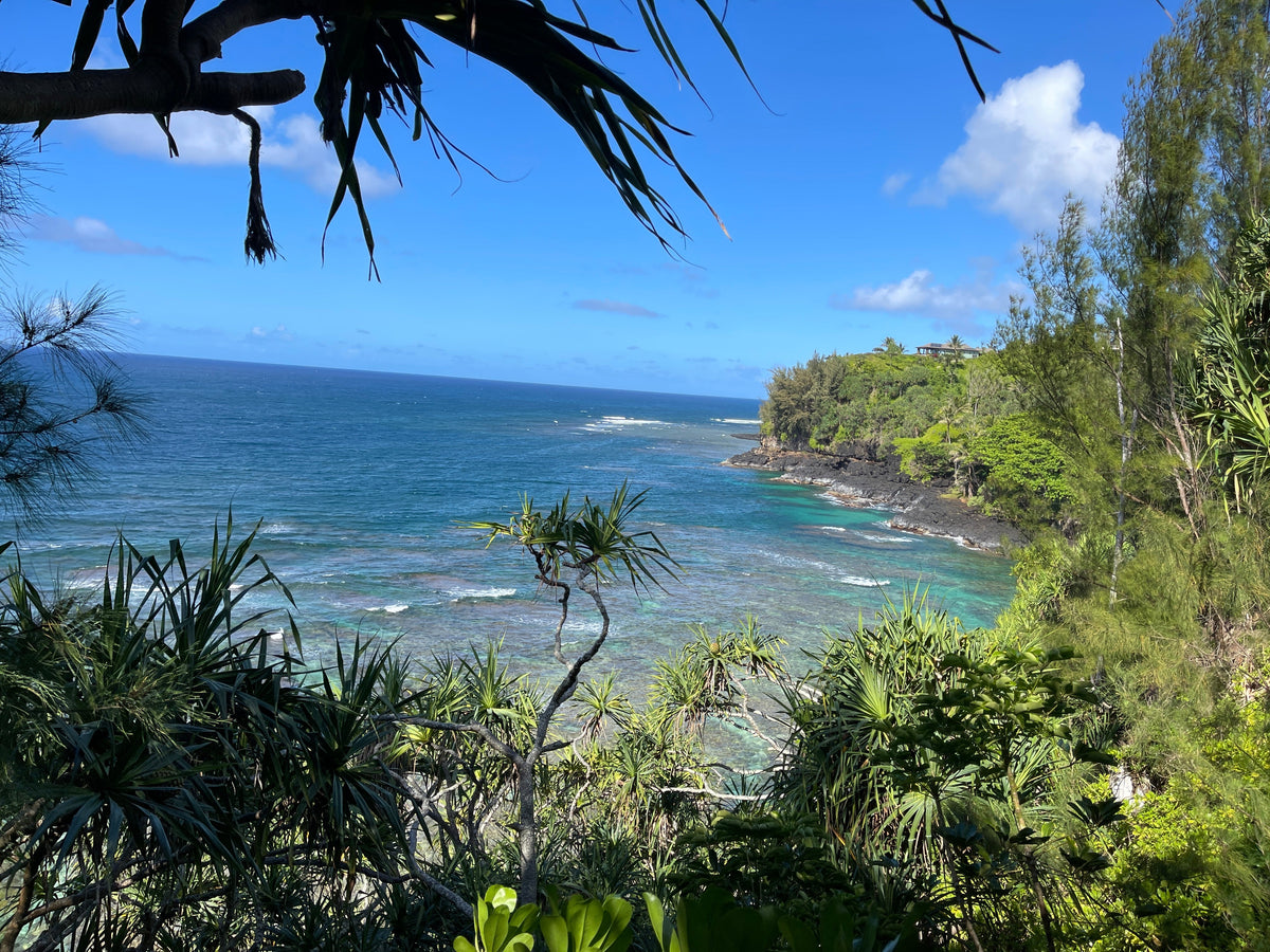 The Beauty of Handmade Jewelry from Kauai