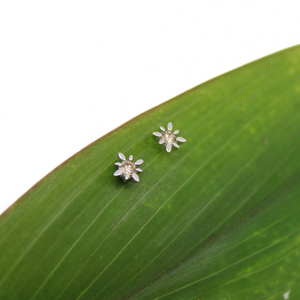 Brianne & Company tiny 14K White Gold Diamond Star Studs