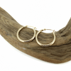 Brianne & Co. 14k gold hoop earrings 20mm large