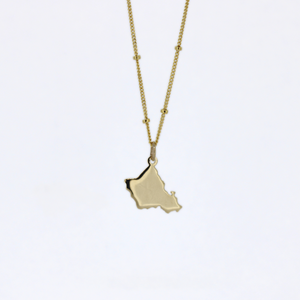 Brianne & Co. Oahu pendant in 14k gold on a satellite chain