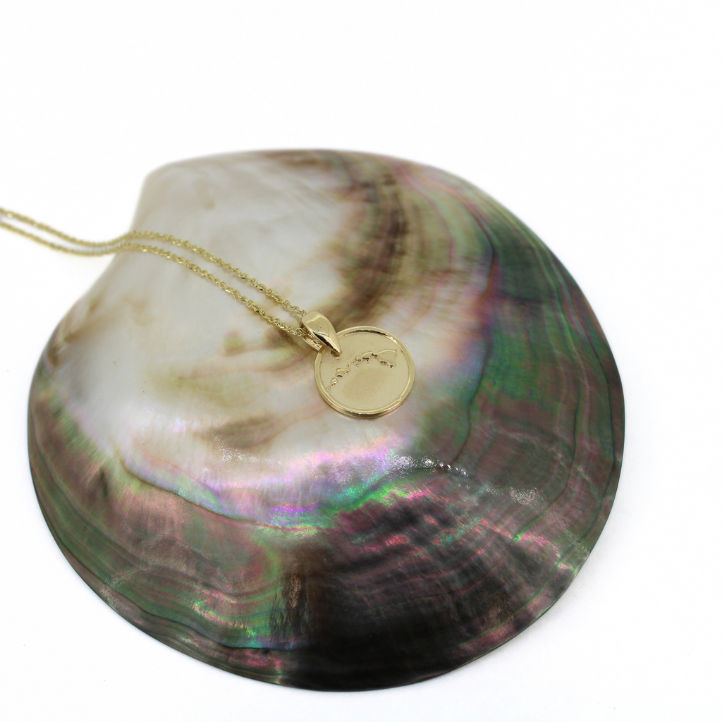 14k Gold Hawaiian Island Coin Pendant