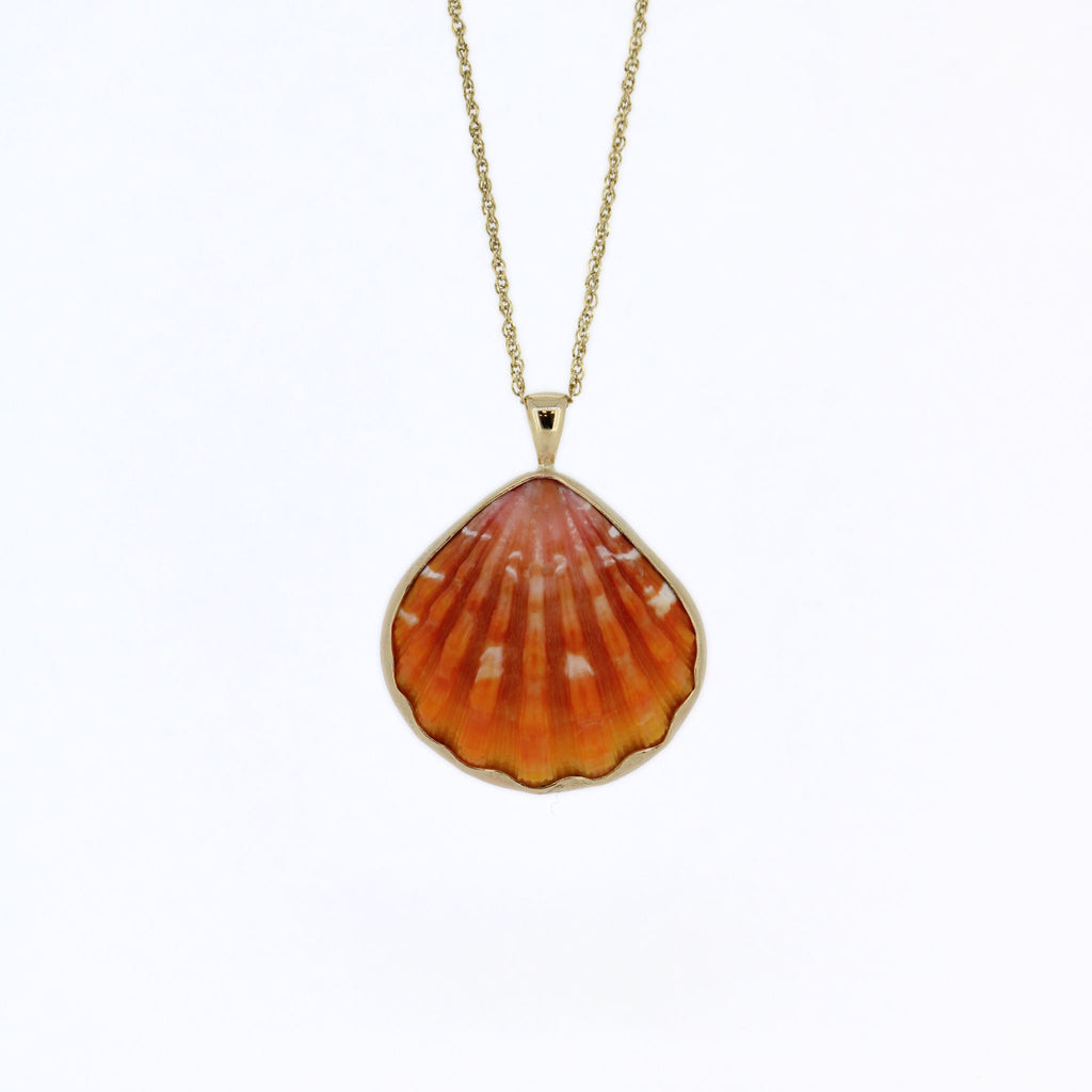 Brianne & Co. 14k gold bezel set sunrise shell necklace
