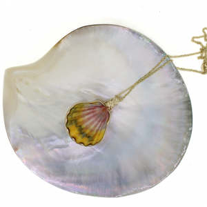 14k Gold Bezel Set Sunrise Shell Necklace w/ Plumeria Bail