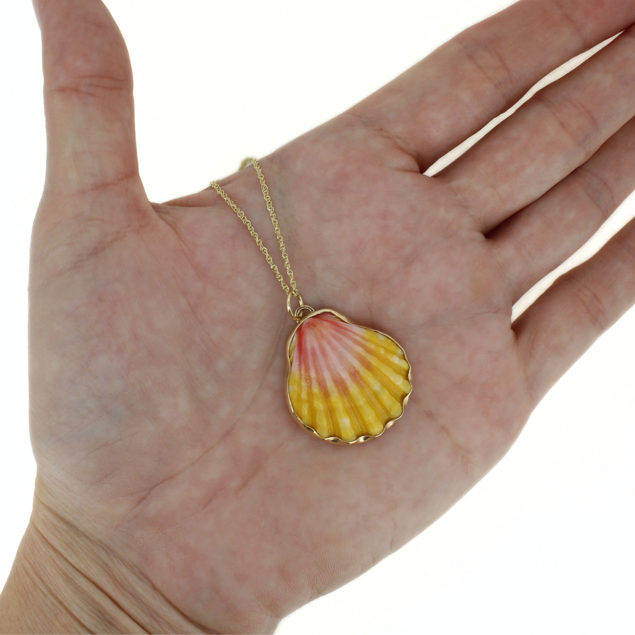 14k Gold Sunrise Shell Necklace