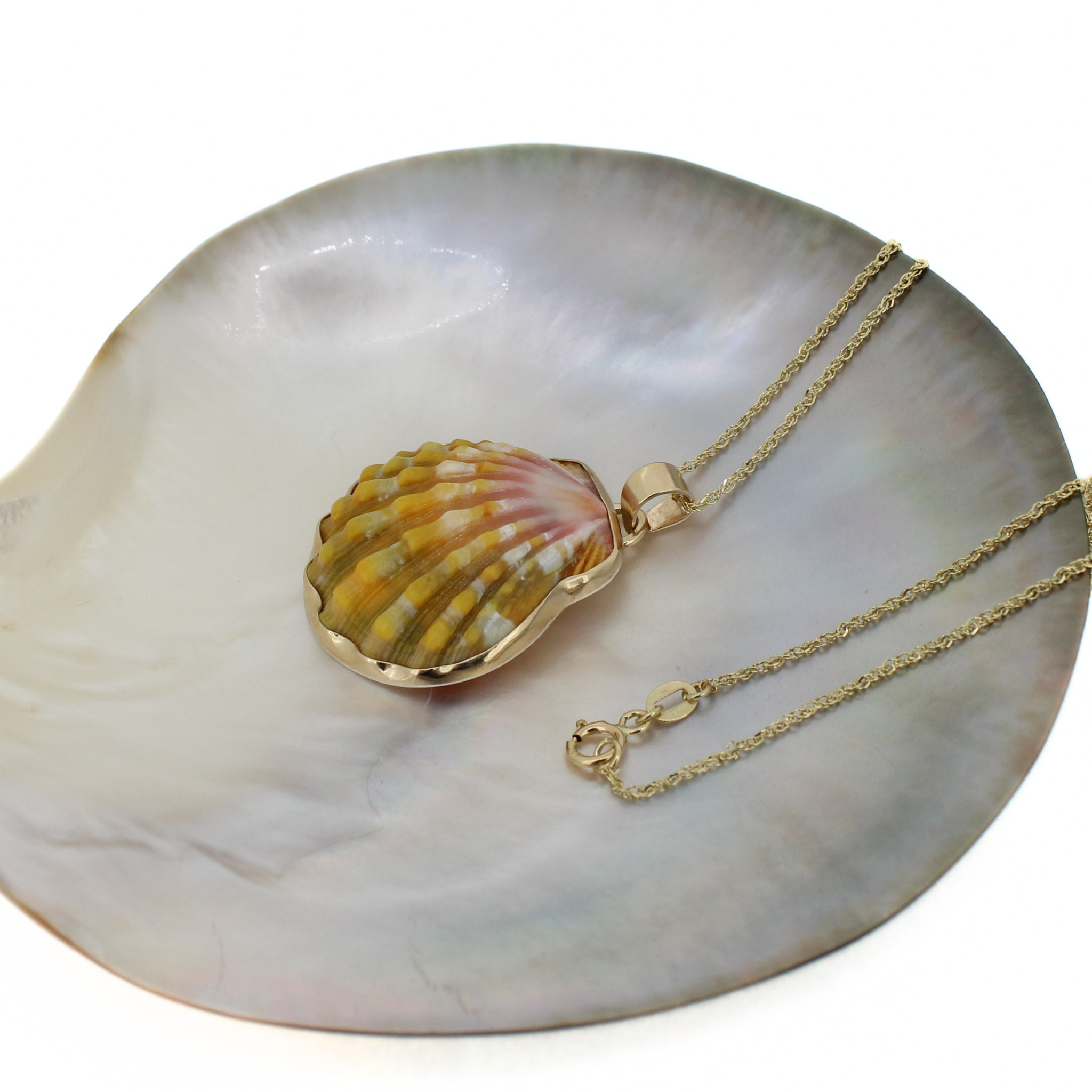 Gold shell pendant necklace with chain resting on white shell