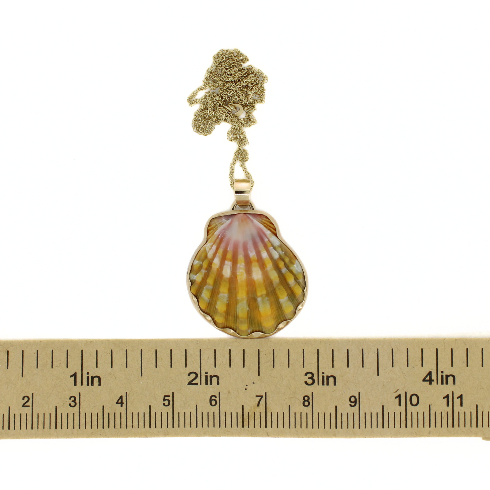 Gold shell pendant necklace with ruler for scale; round pink-yellow shell