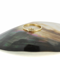 14k Gold Naupaka with Diamond Ring