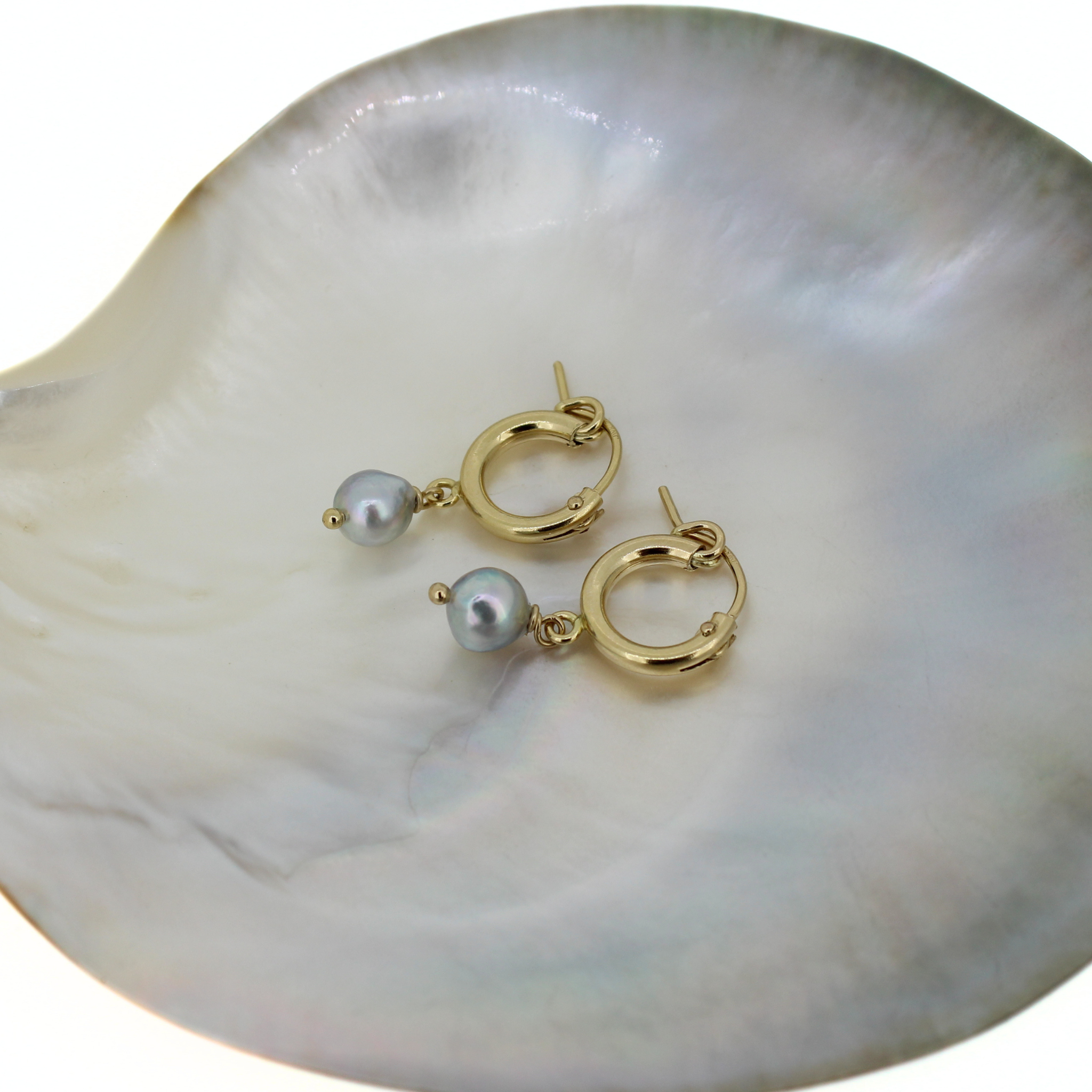 Gold hoop earrings with blue Akoya pearl dangles, shown on white shell