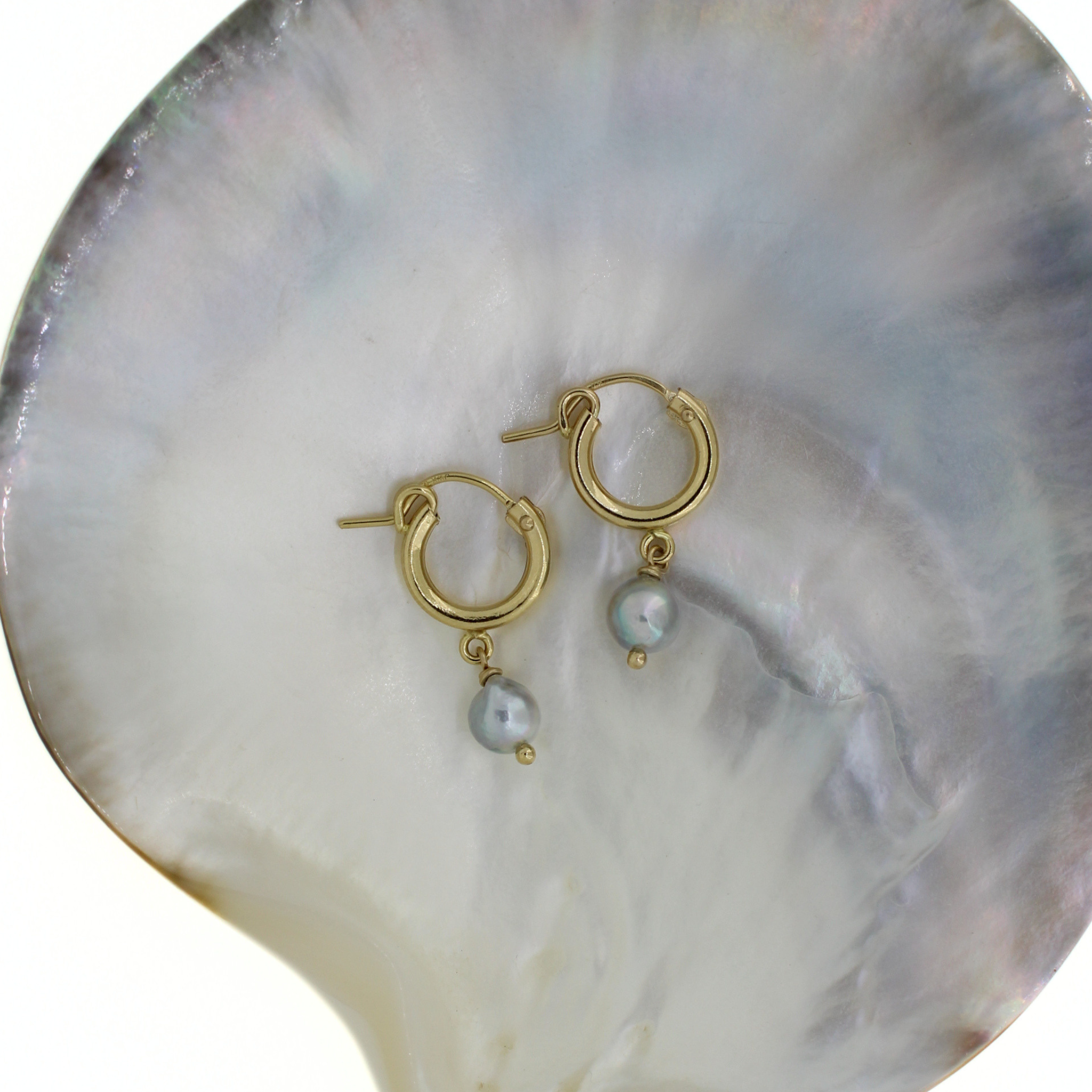 Gold hoop earrings with blue Akoya pearl dangles, angled view on shell