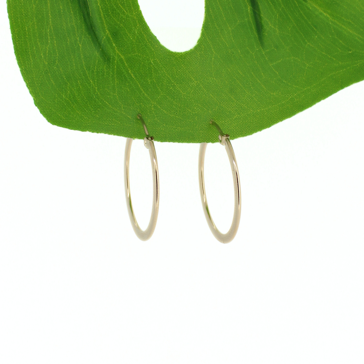 Gold-tone flat hoop earrings, 27mm, partially visible under a green leaf