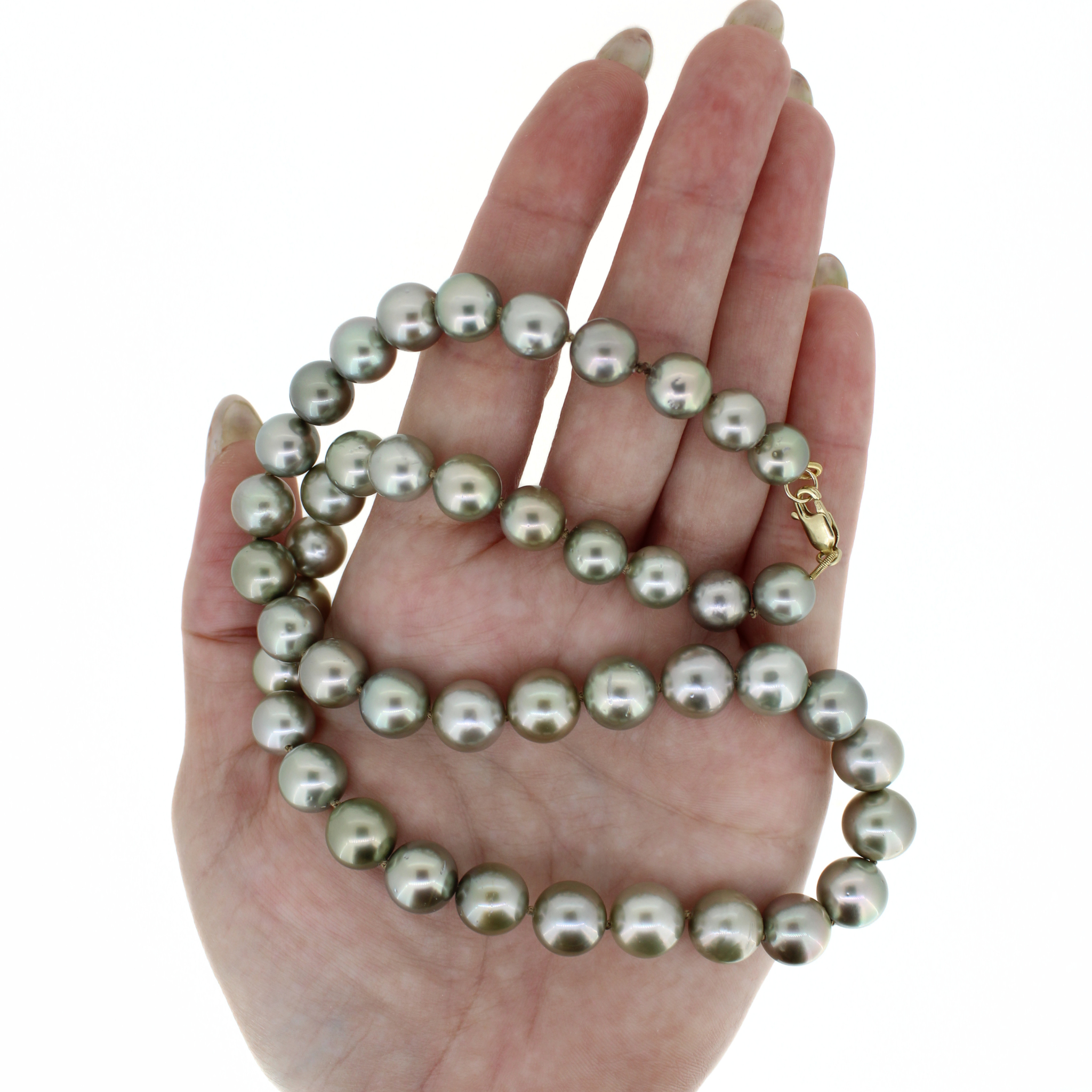 Tahitian Pearl Strand w/ 14k Gold Clasp