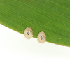14k Gold Diamond Opihi Shell Stud Earrings